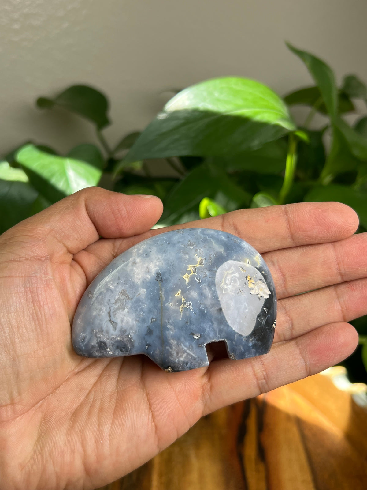 Blue Plume Agate Bear: DN