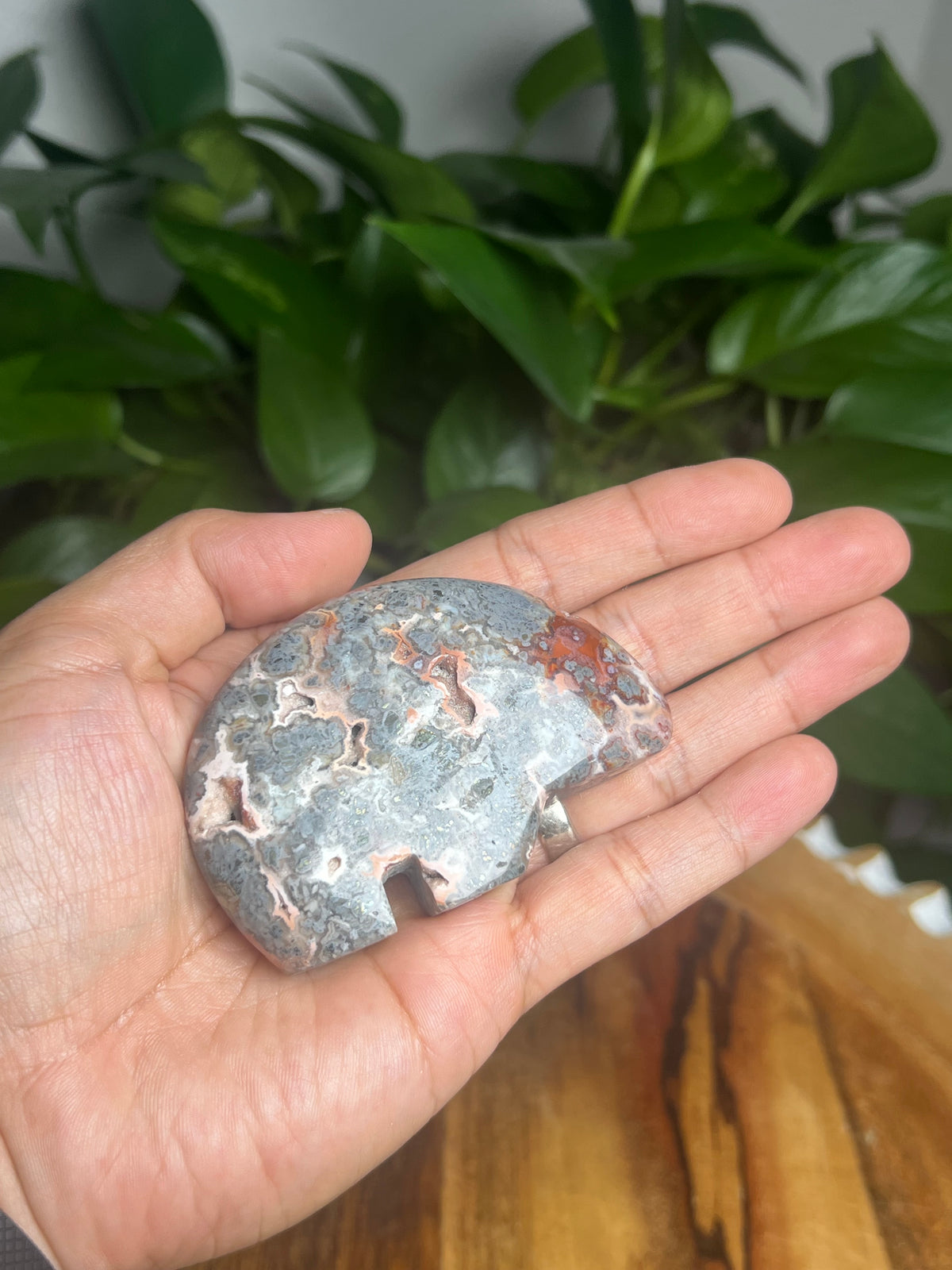 Marcasite Bear: TD