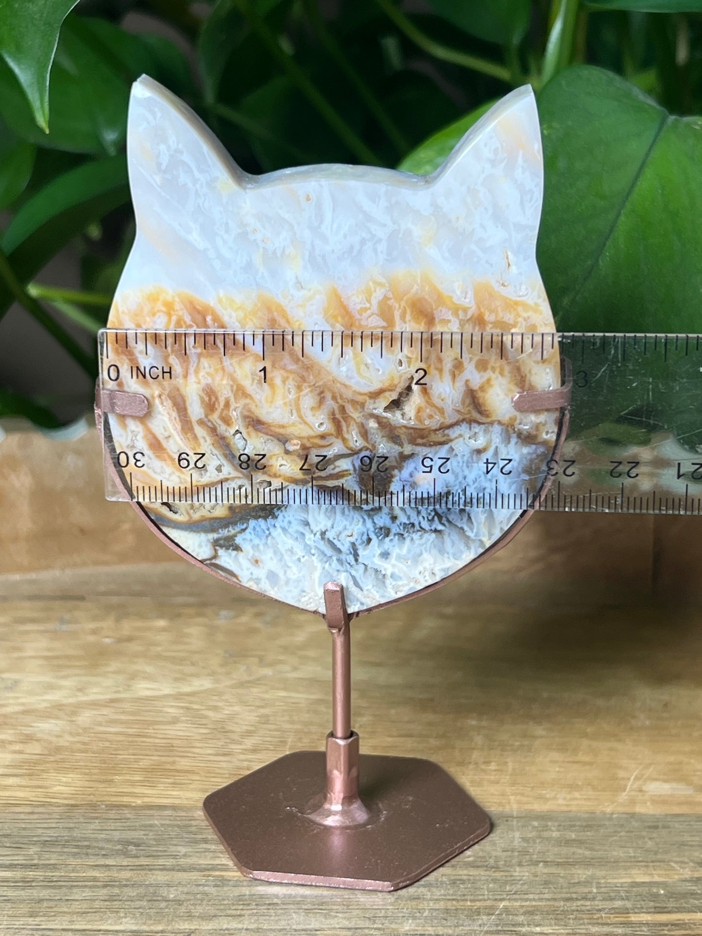 Rainbow Plume Agate Cat Head