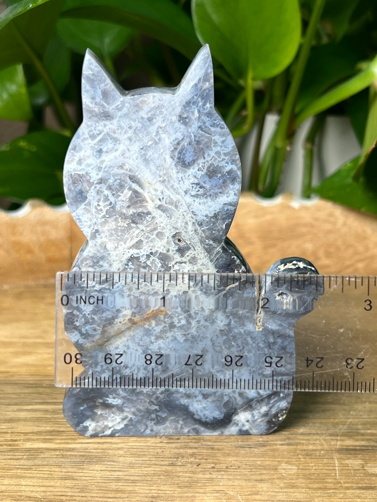 Blue Plume Agate Cat