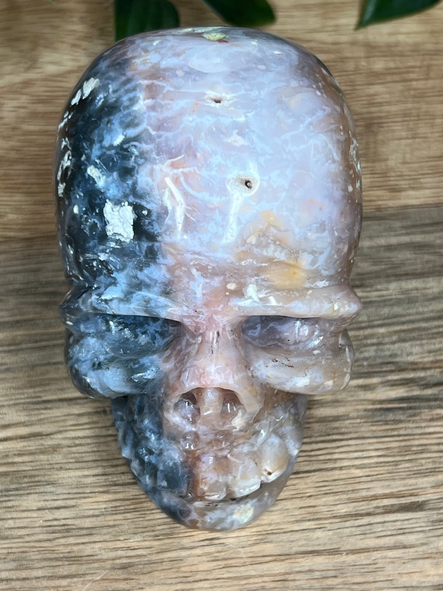 Rainbow Plume Agate Skull