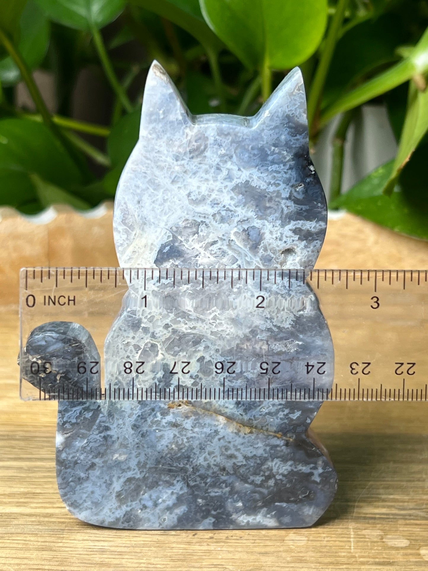 Blue Plume Agate Cat