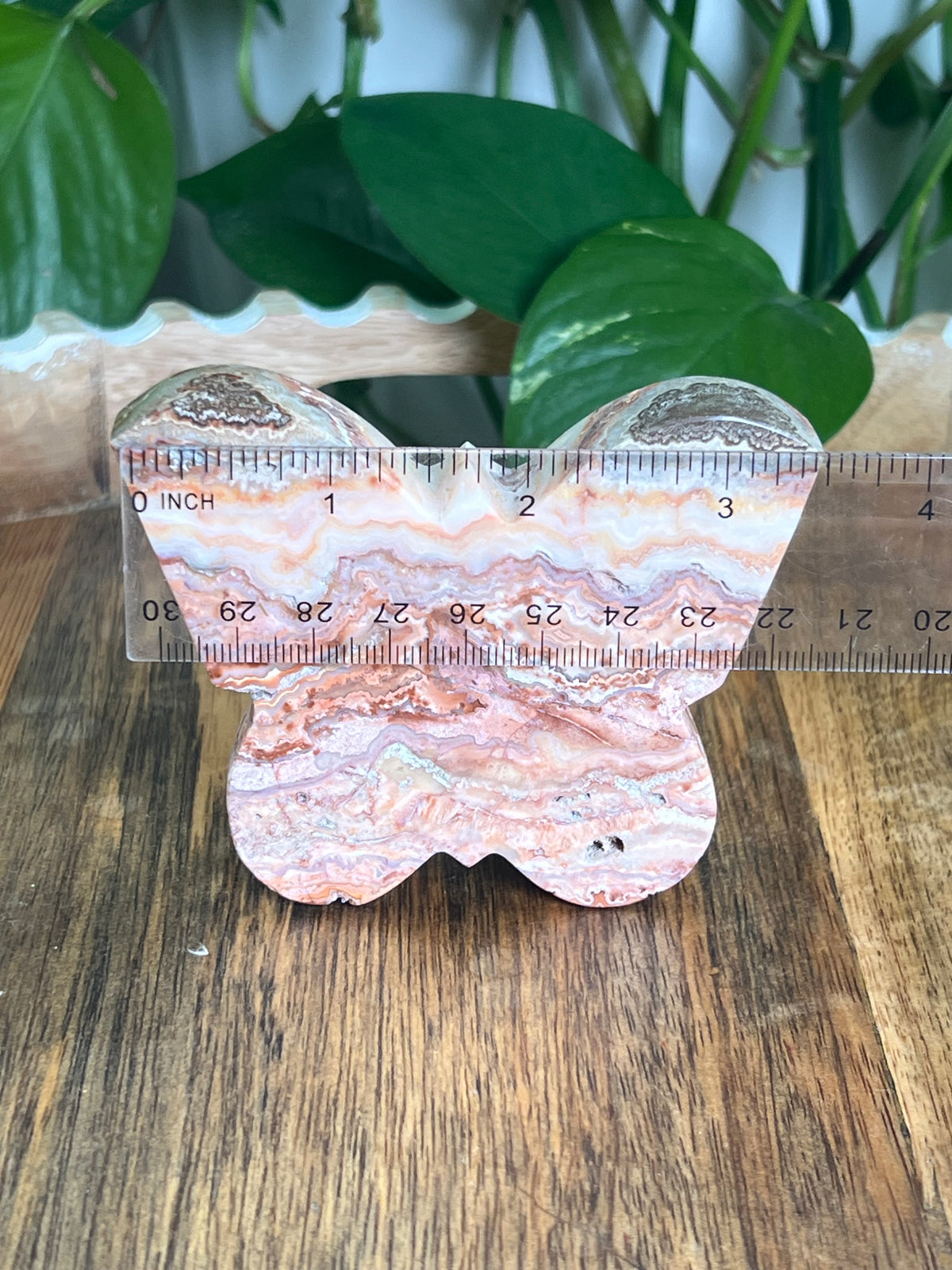 Crazy Lace Agate Butterfly: C