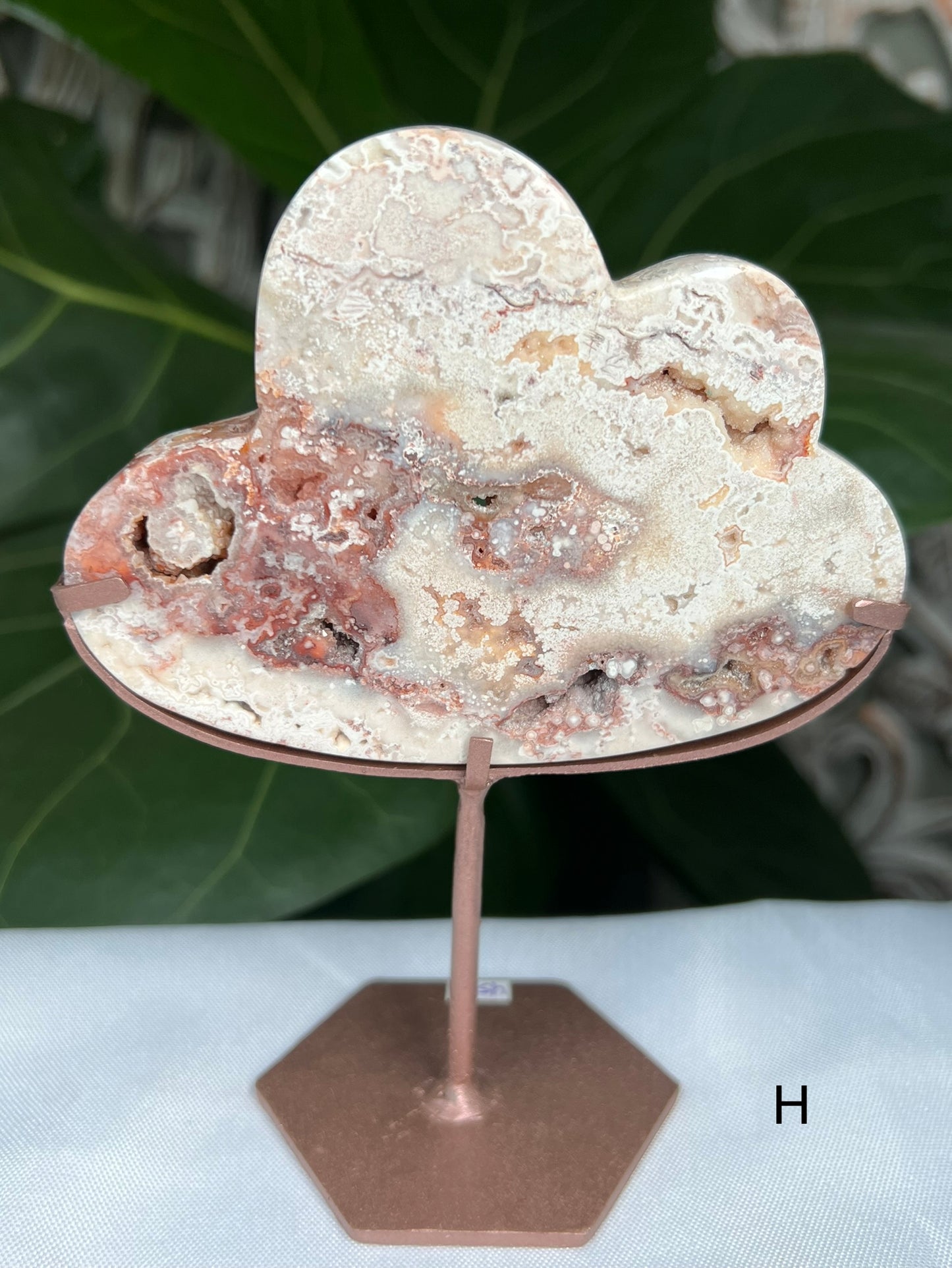 Crazy Lace Agate Clouds