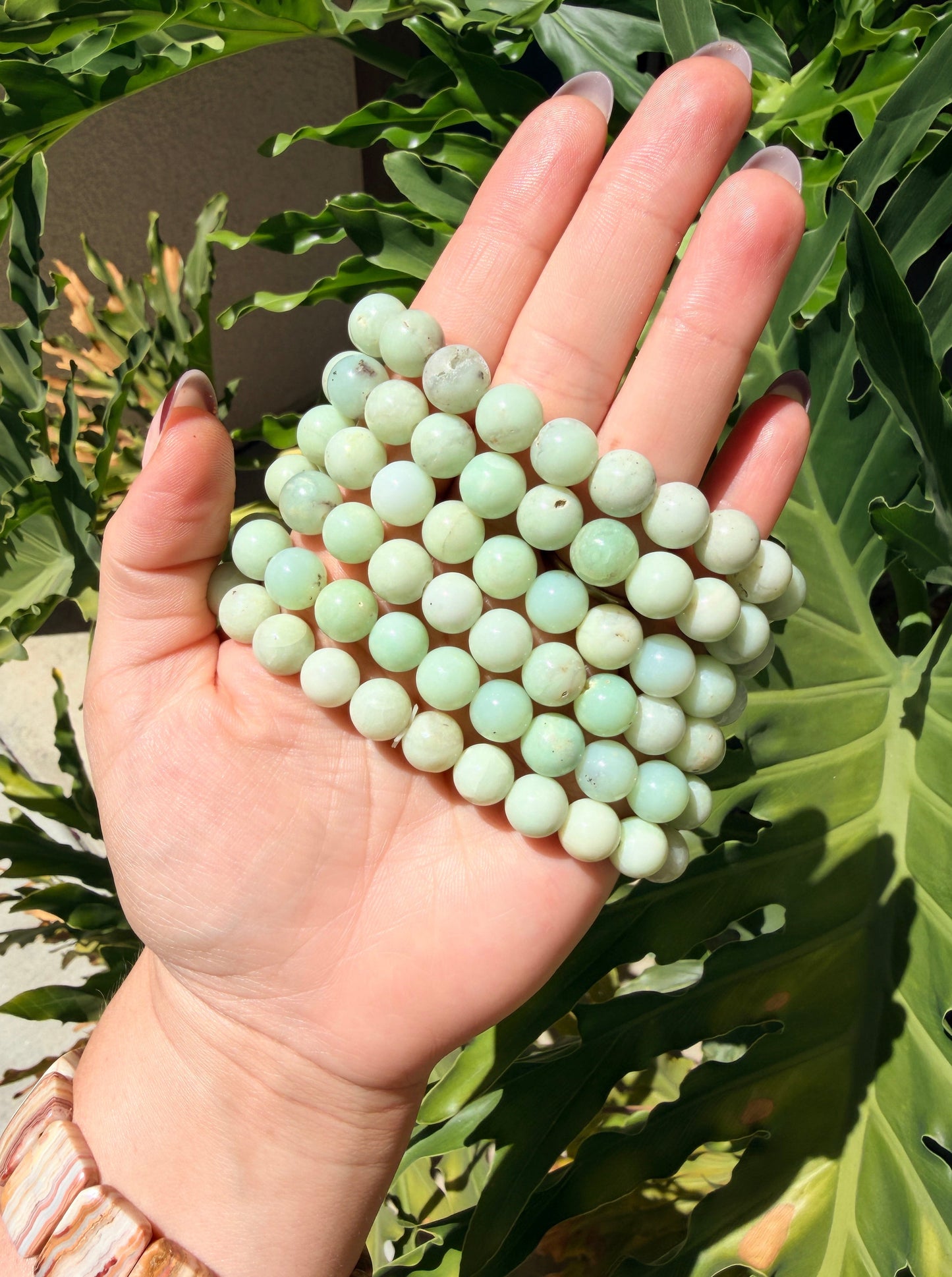 Chrysoprase Beaded Bracelet (10mm)