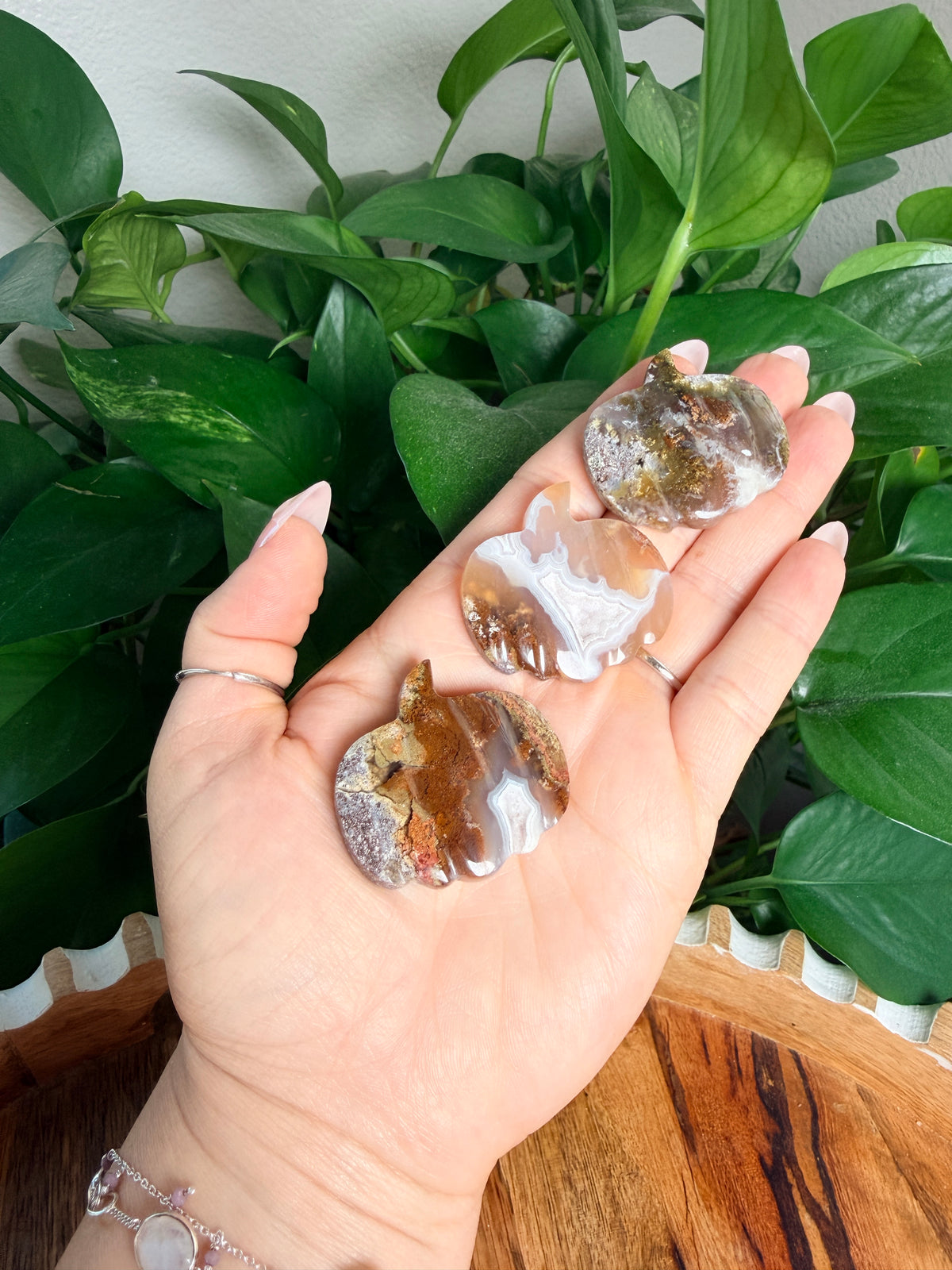 Scenic Moss Agate Mini Pumpkin