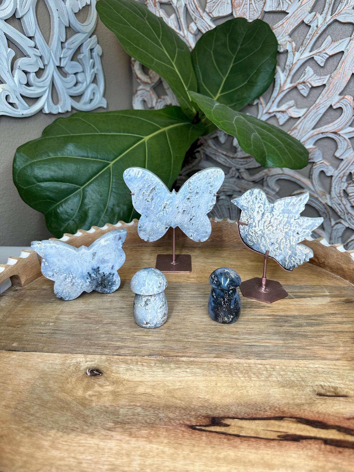 The Secret Garden Bundle Deal