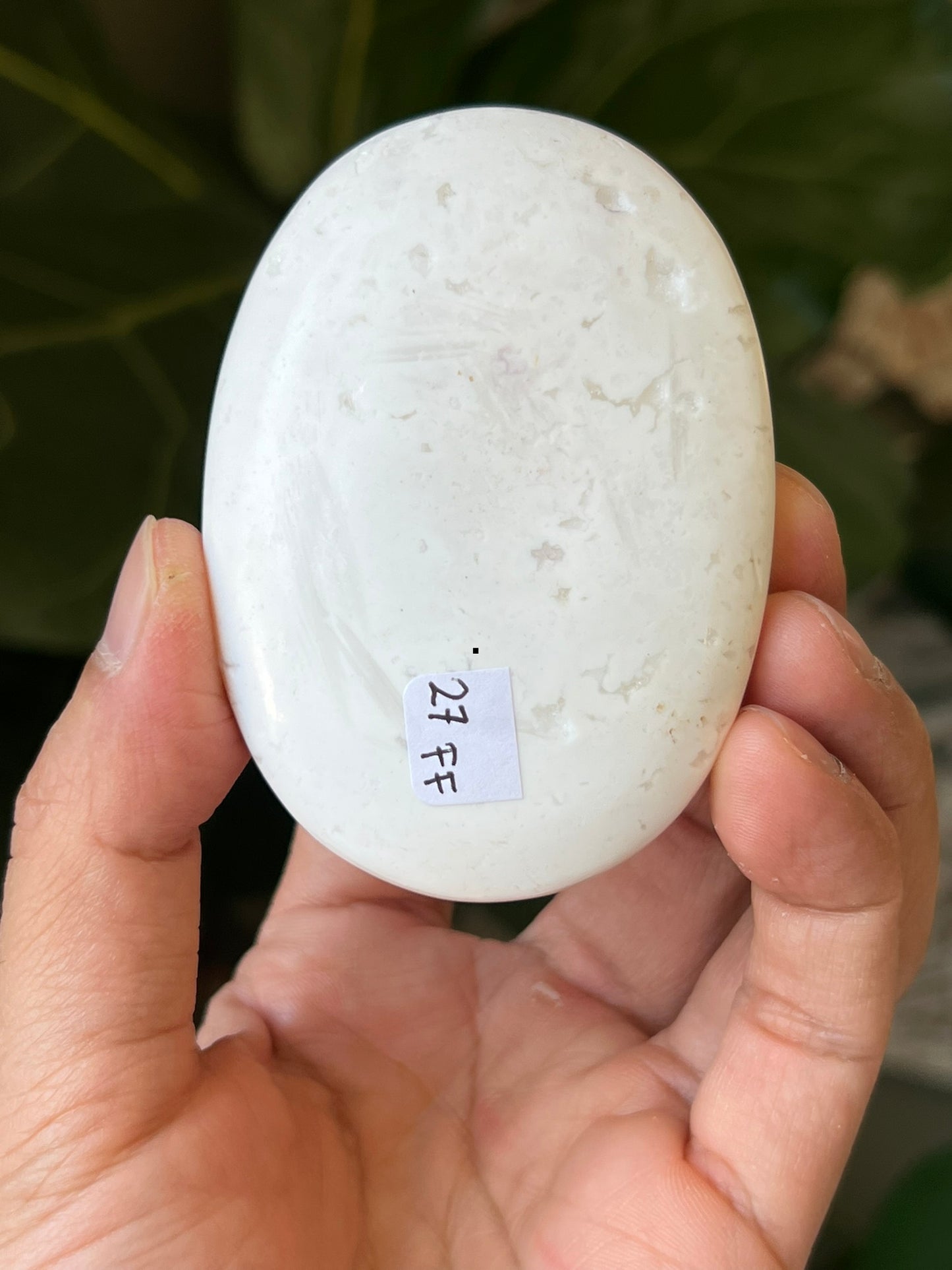 White Snow Agate Palmstone
