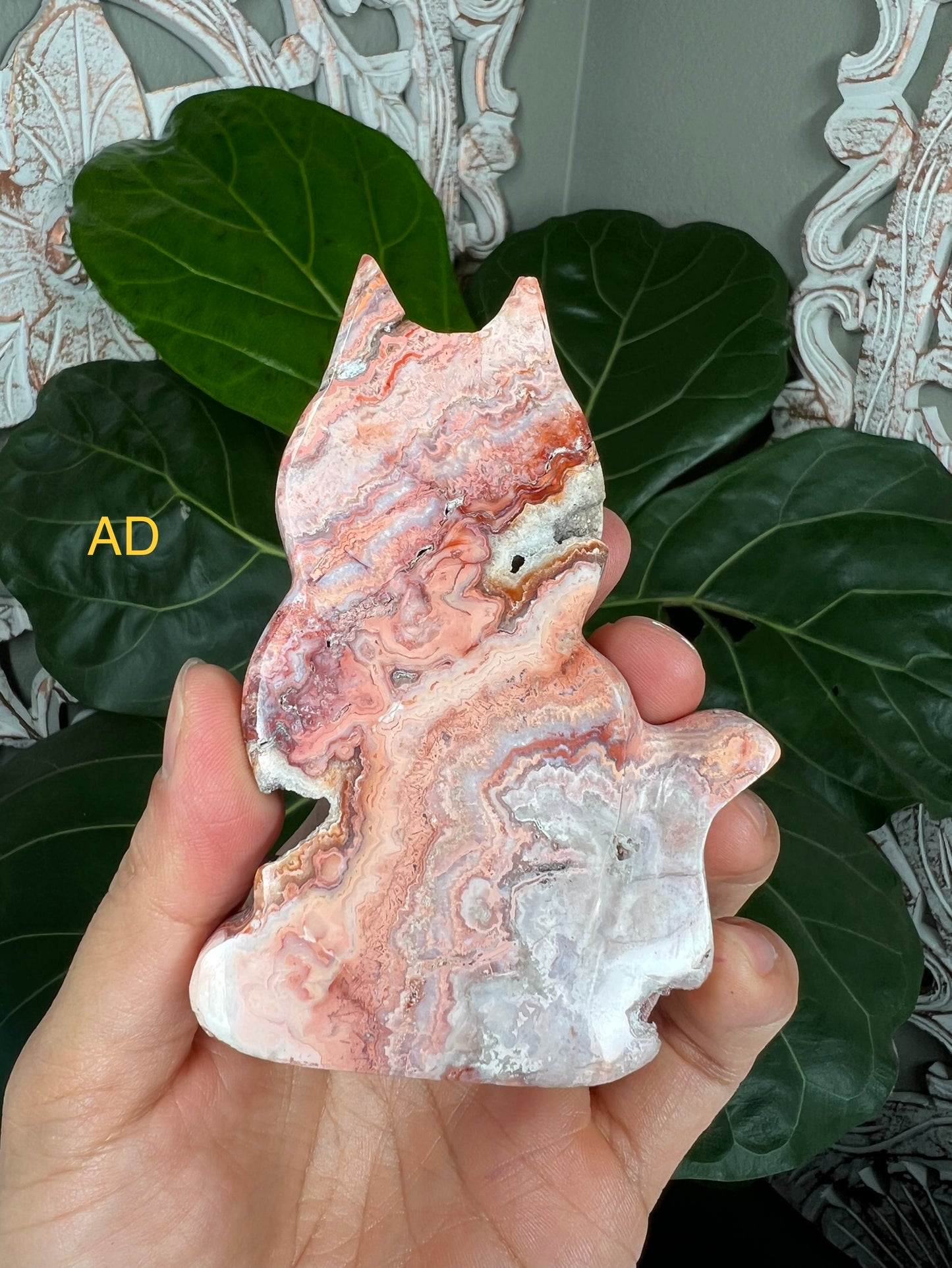 Crazy Lace Agate Cats