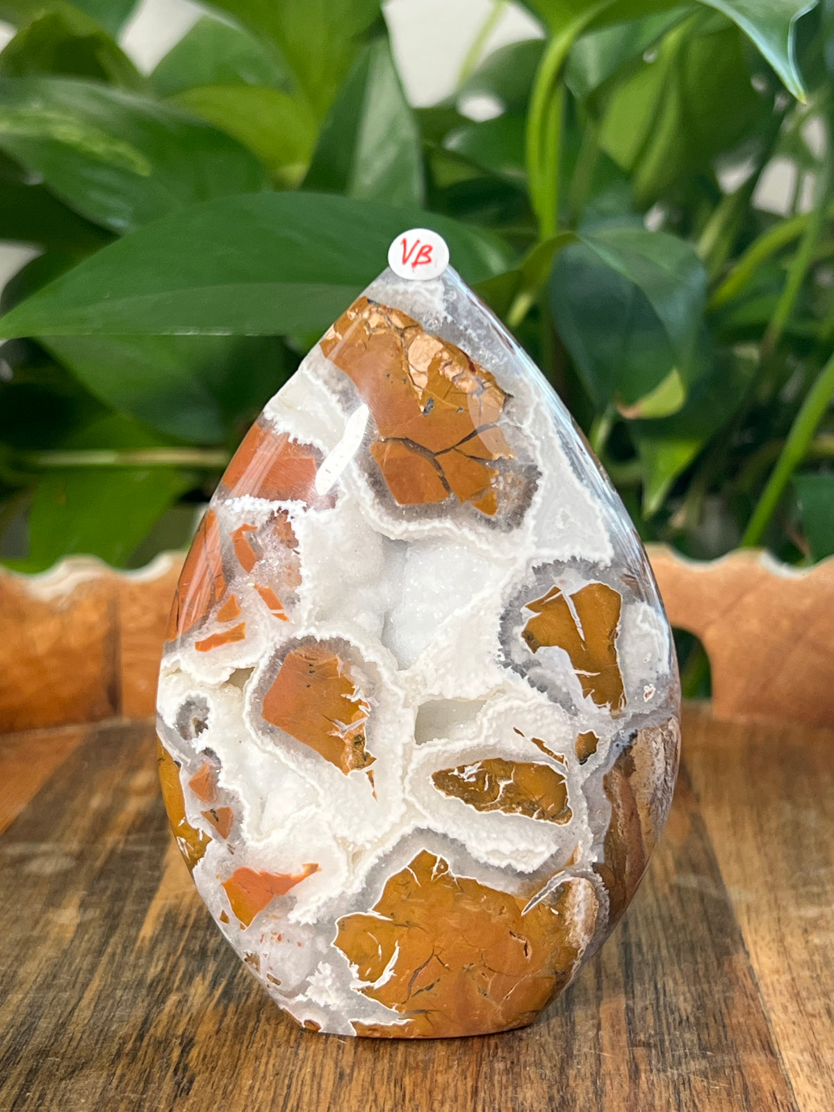 Brecciated Jasper Flames