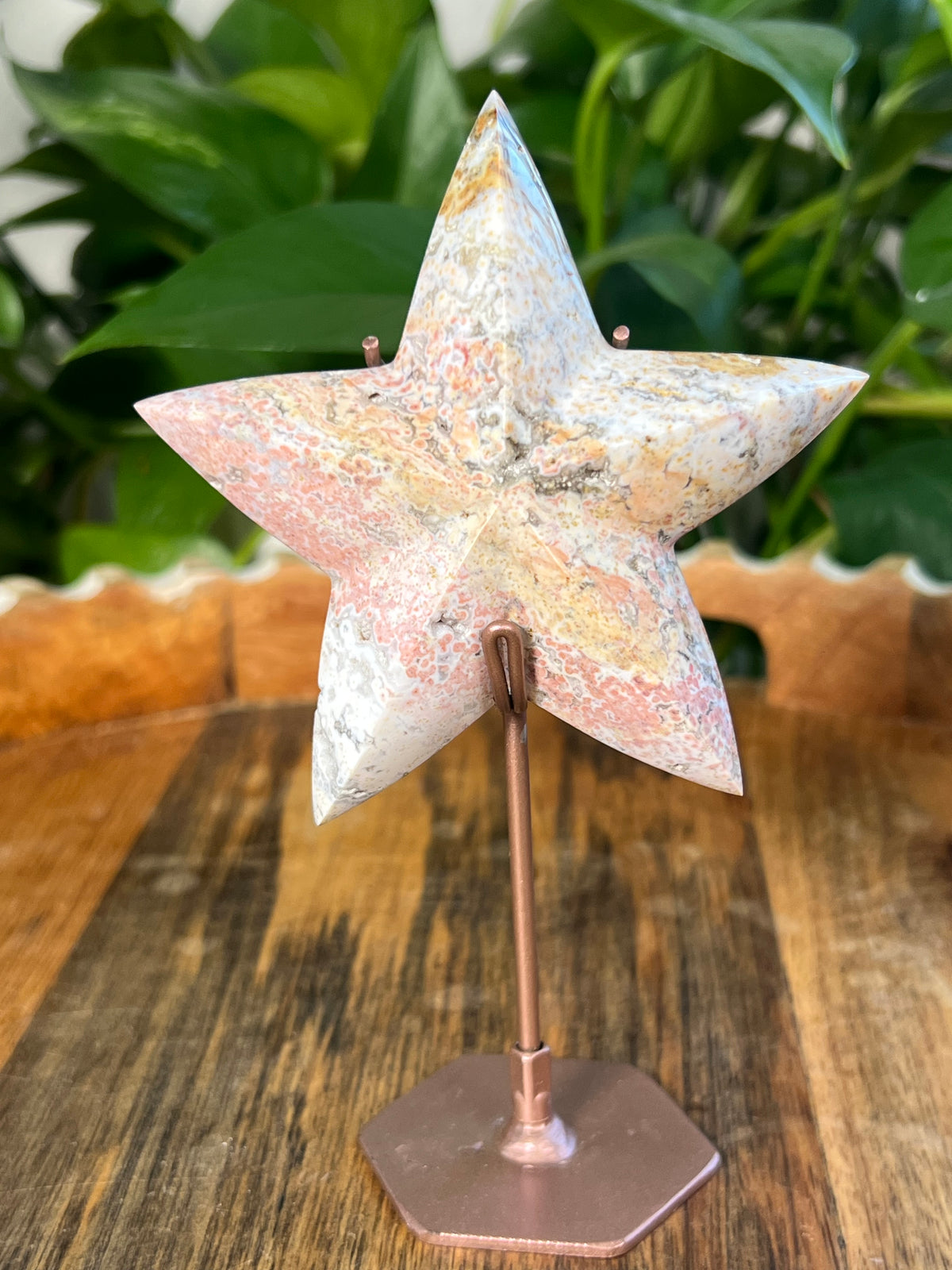 Sea Jasper Stars