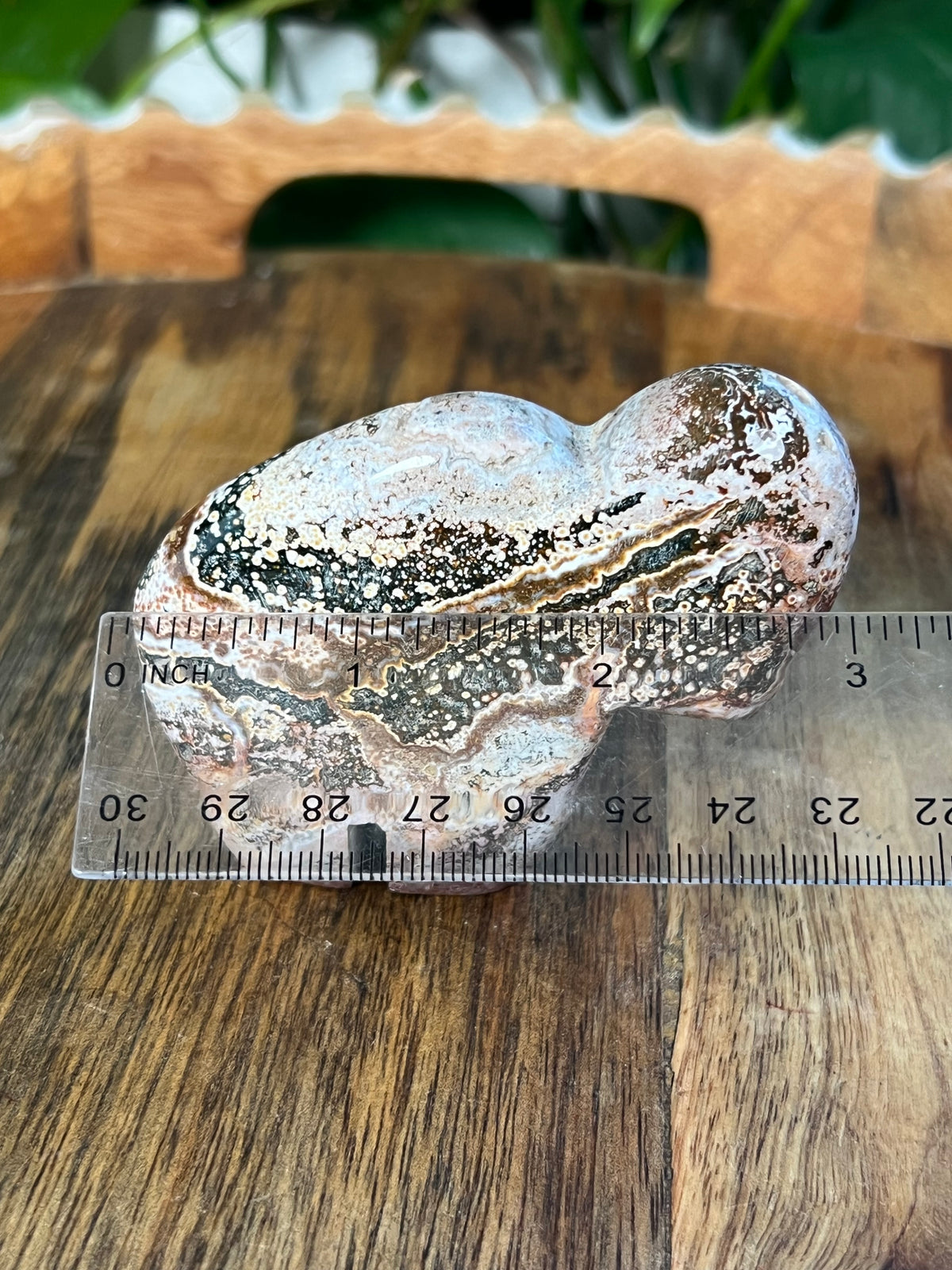 Sea Jasper Buffalo: RB