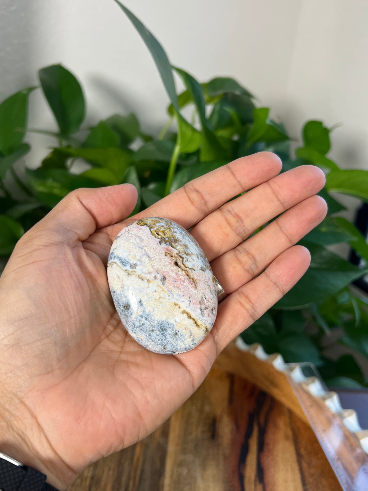 Sea Jasper Palmstone: Ai