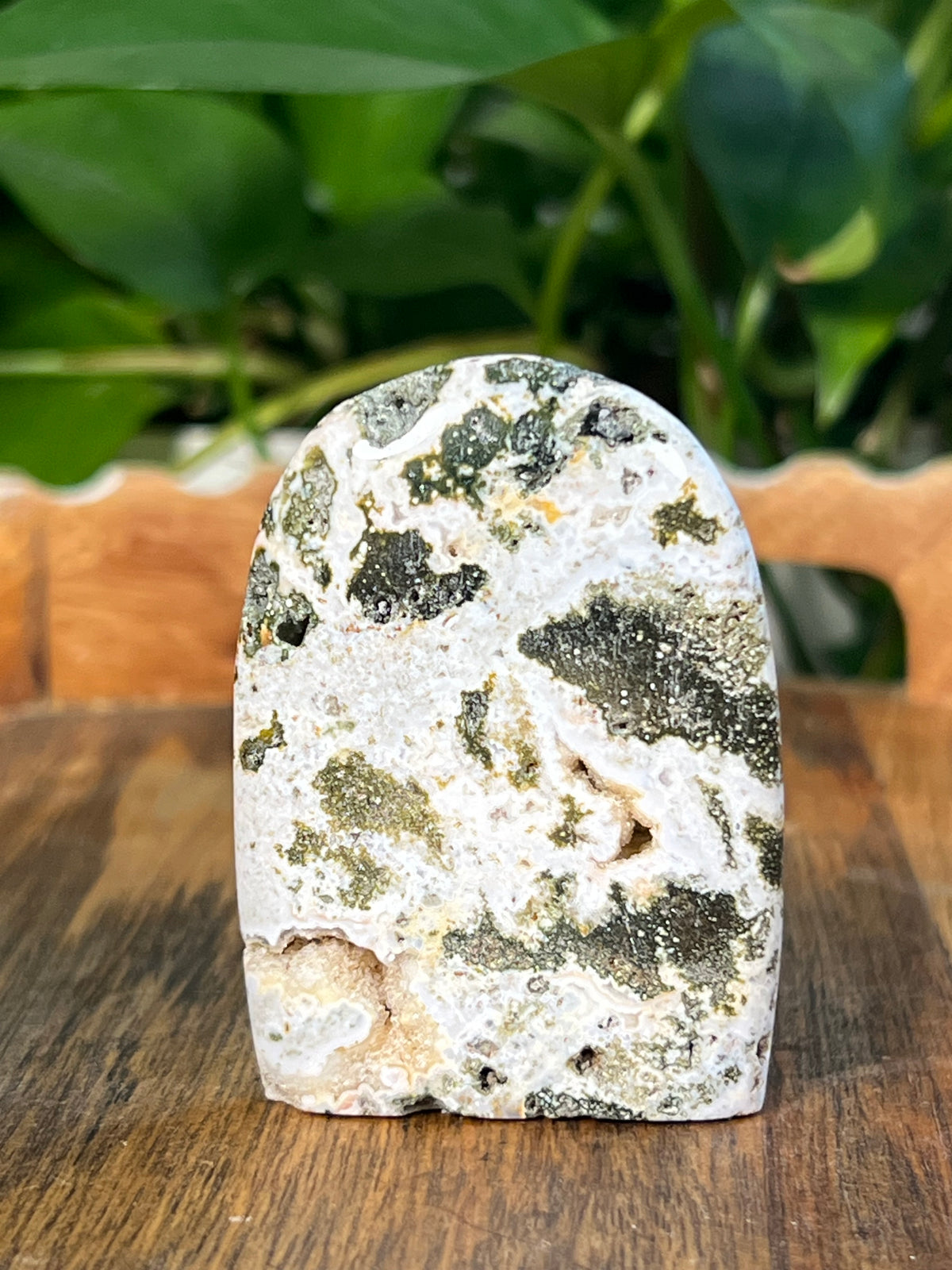Sea Jasper Mini Freeforms