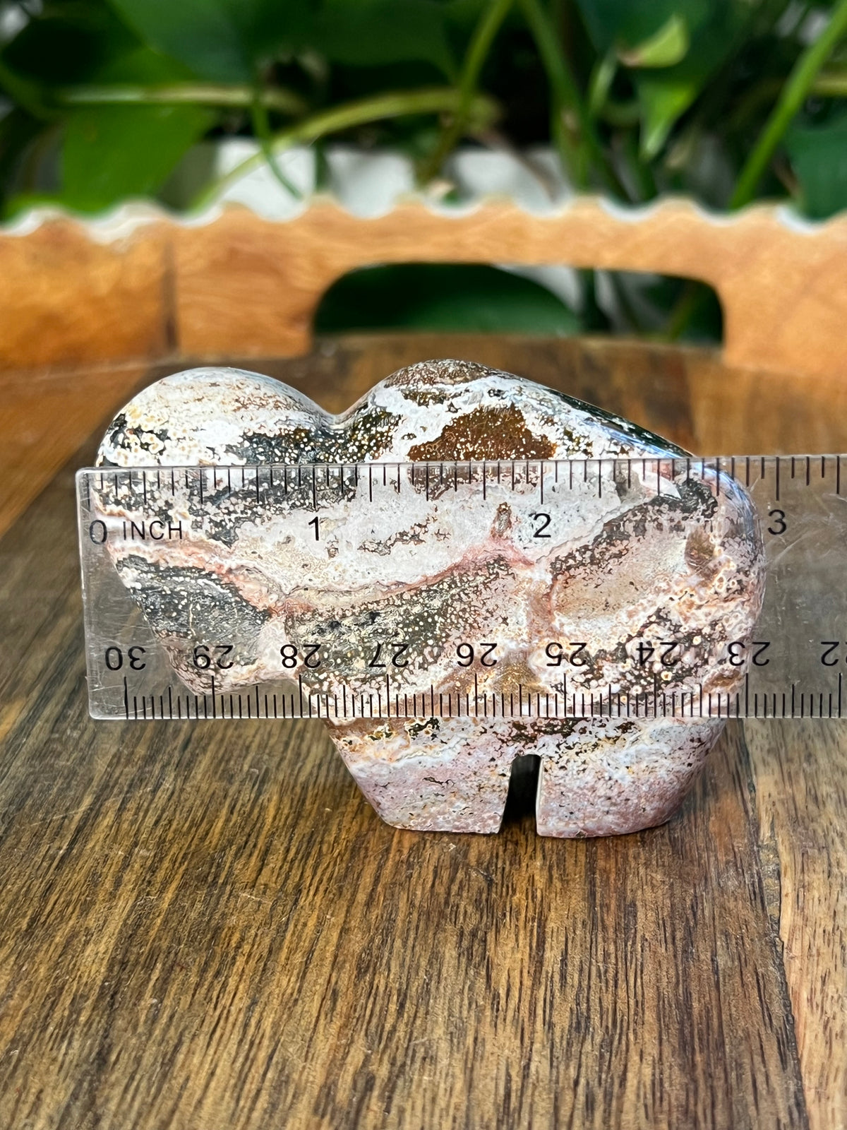 Sea Jasper Buffalo: KX
