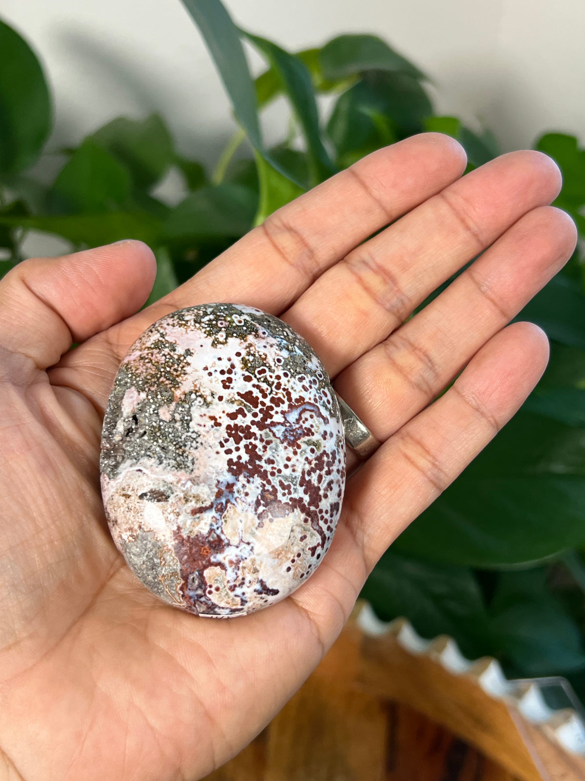 Sea Jasper Palmstone: AK