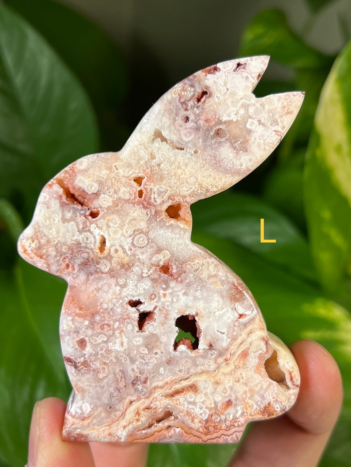 Crazy Lace Agate Bunny