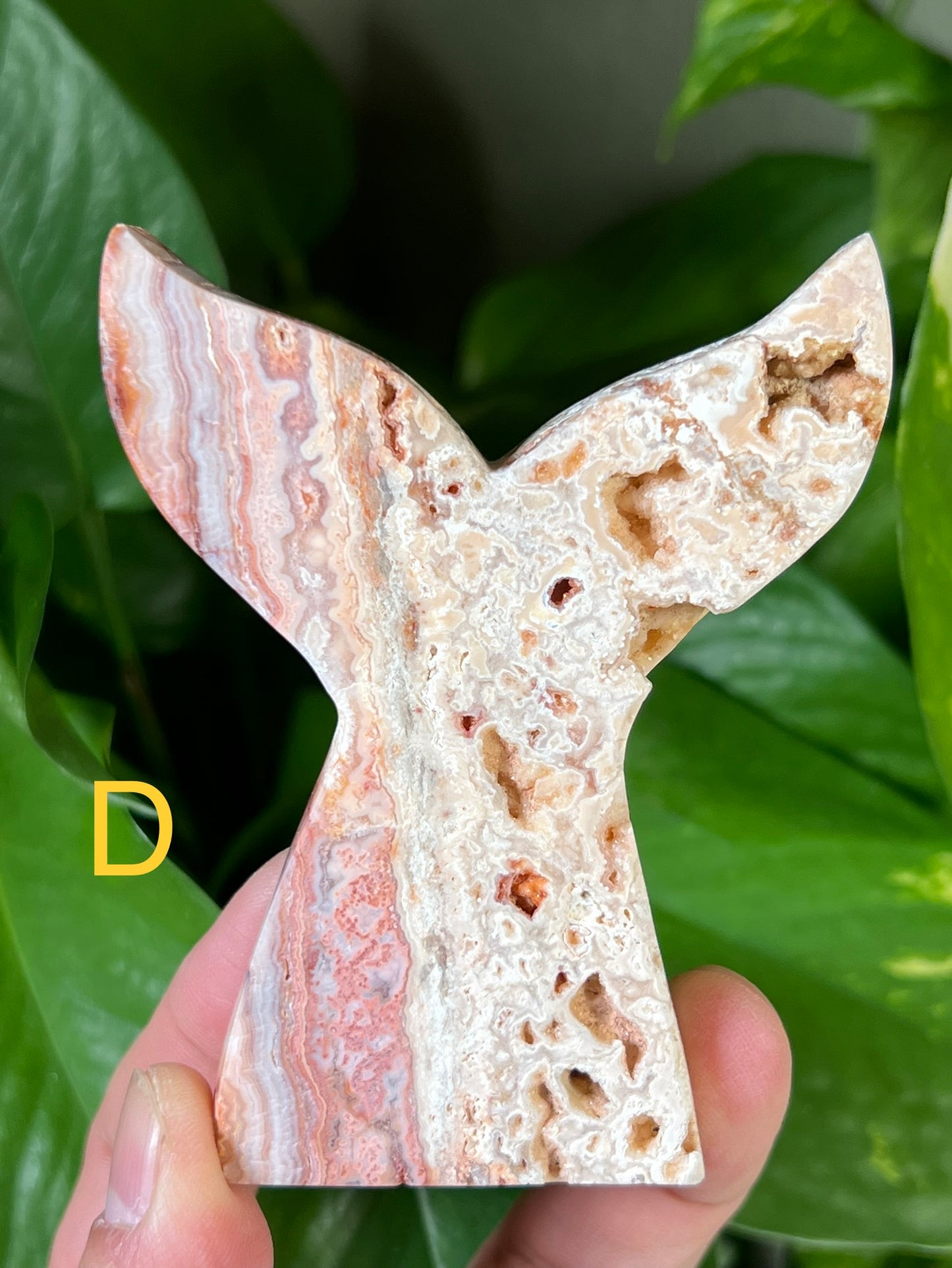 Super Druzy Crazy Lace Agate Mermaid Tails