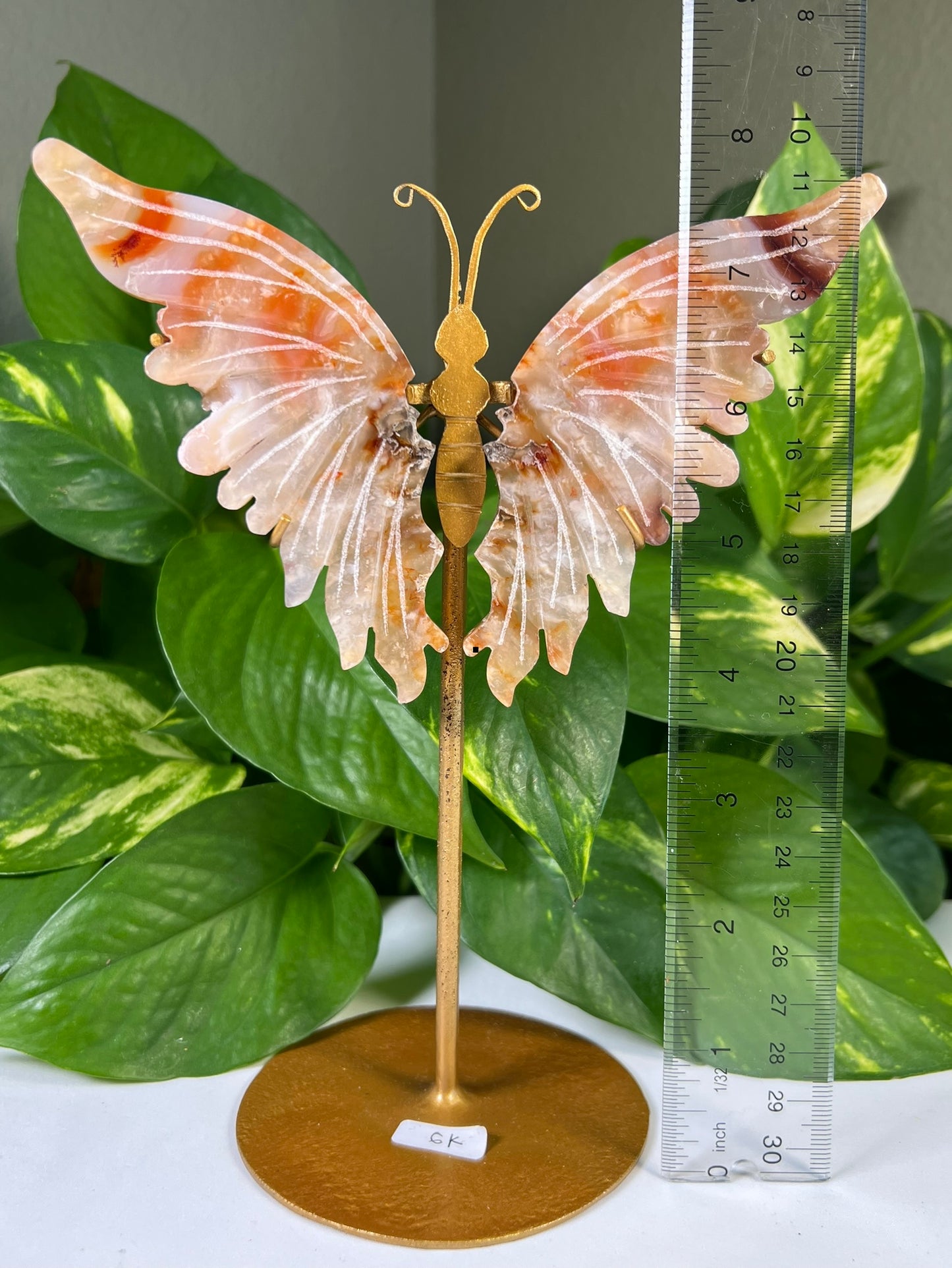 Red Carnelian Flower Agate Wings
