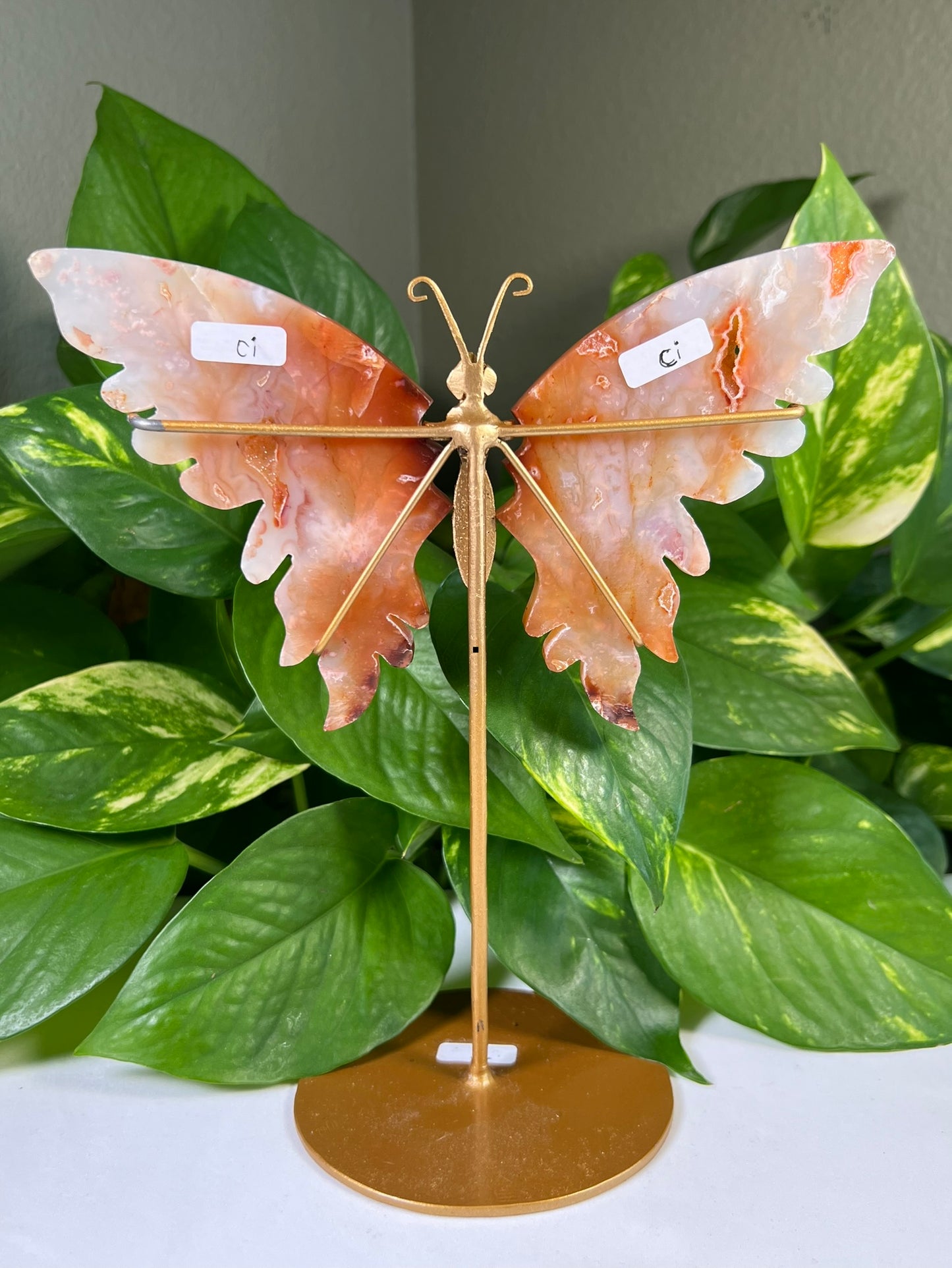 Red Carnelian Flower Agate Wings