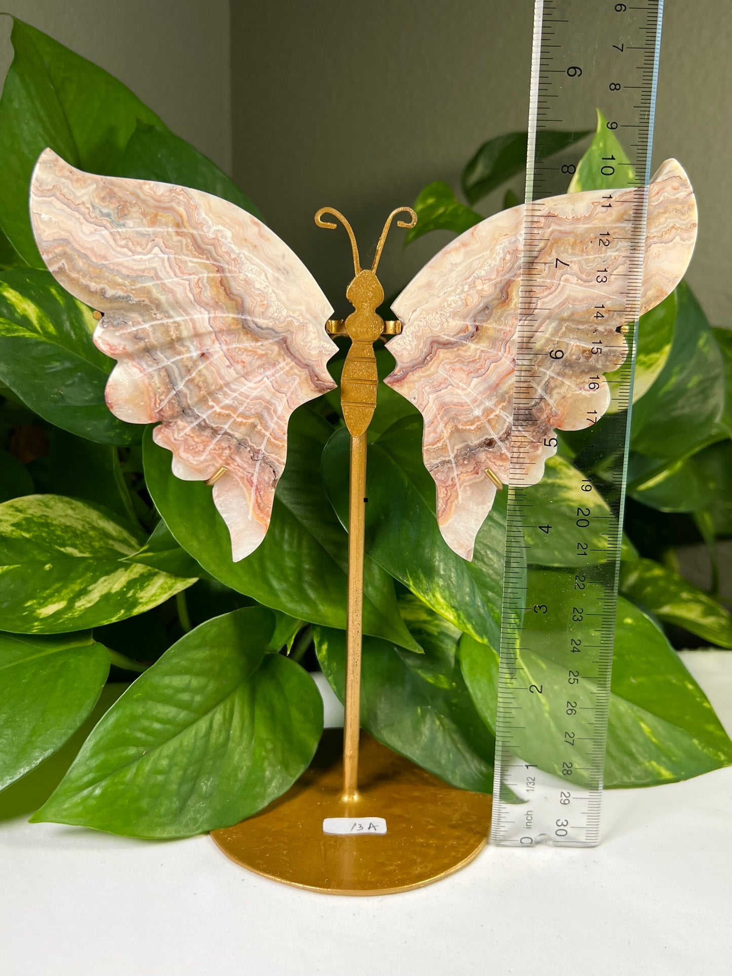 Crazy Lace agate Wings