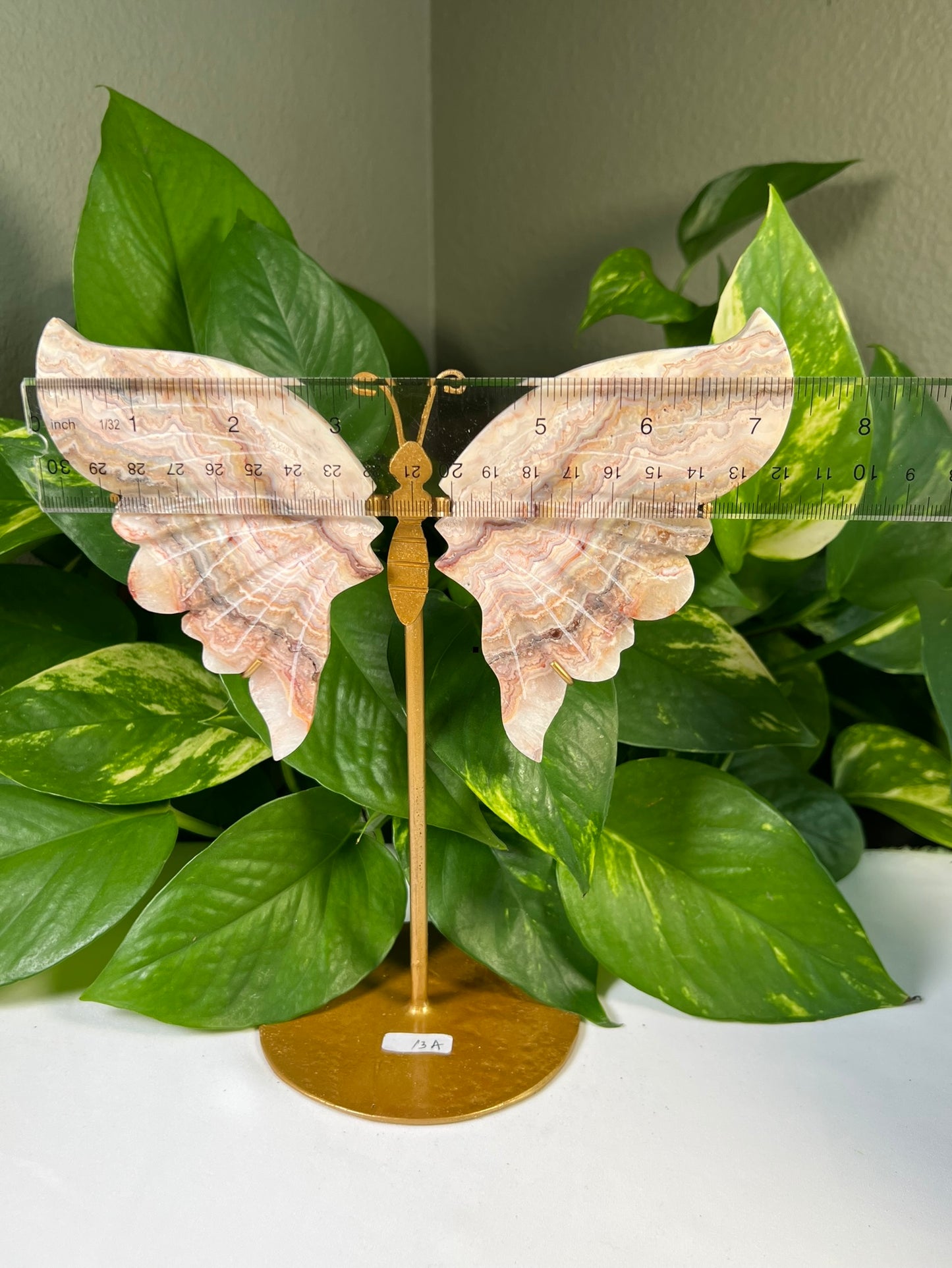 Crazy Lace agate Wings