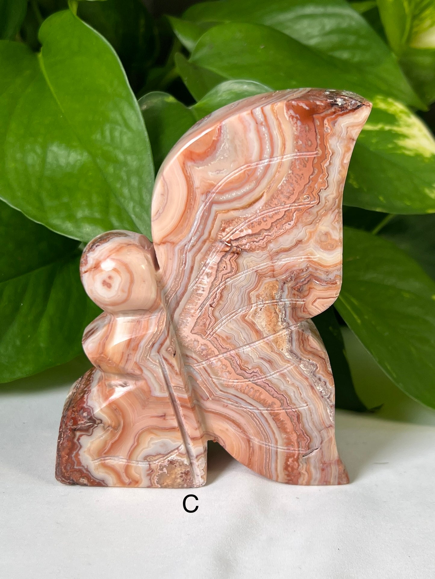 Large Crazy Lace Agate Fairies