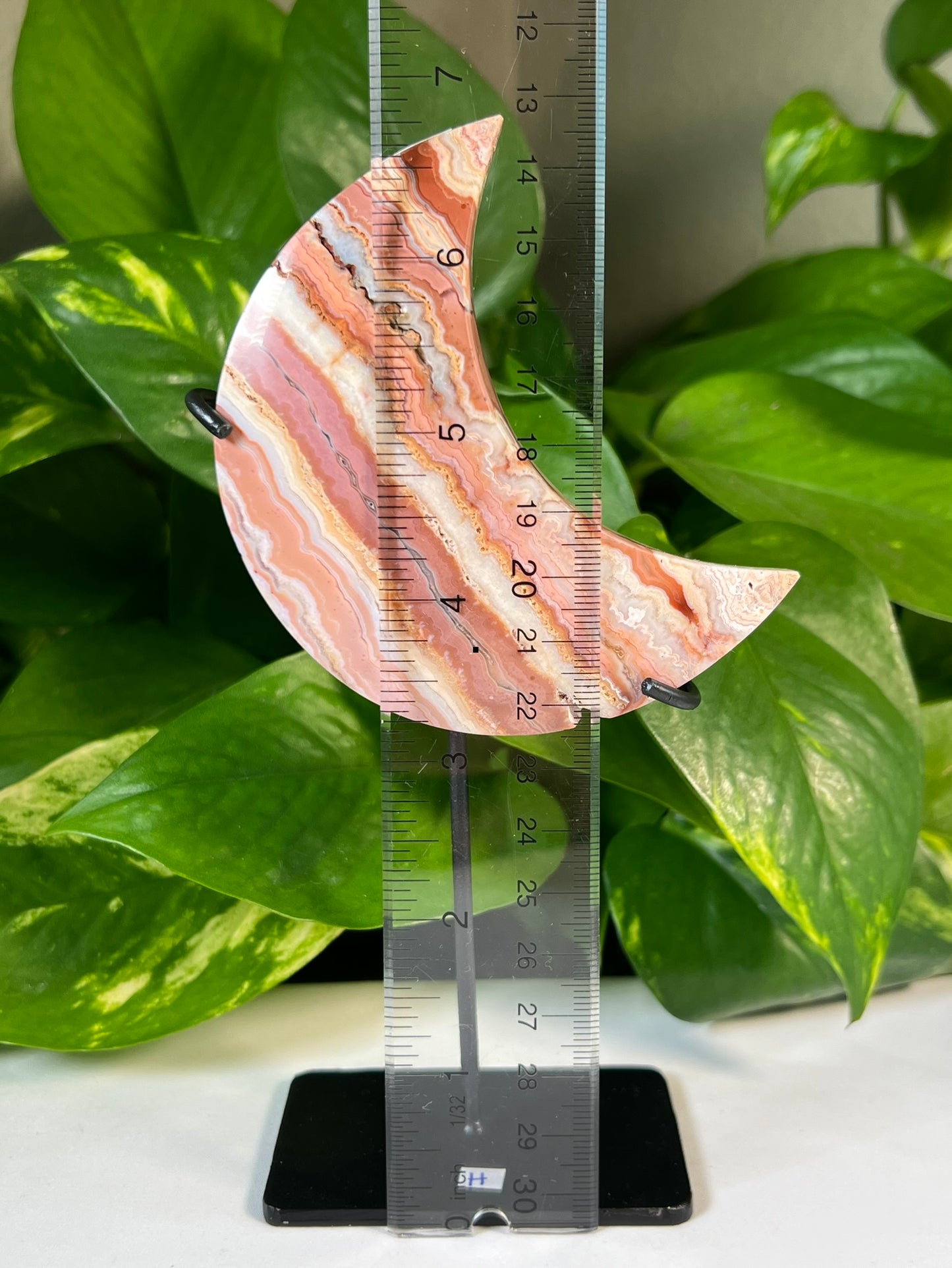 Crazy Lace Agate Moons