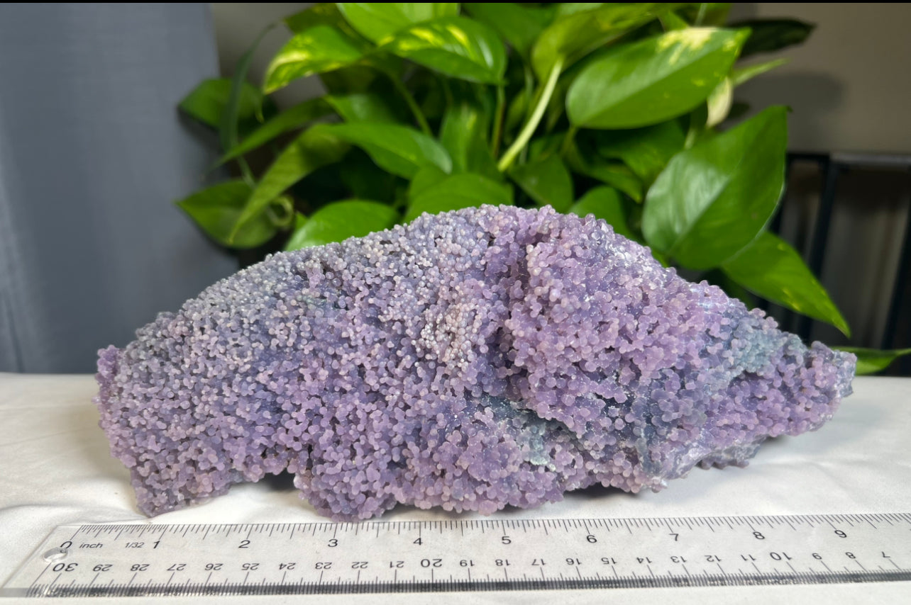 Large Grape Agate Statement