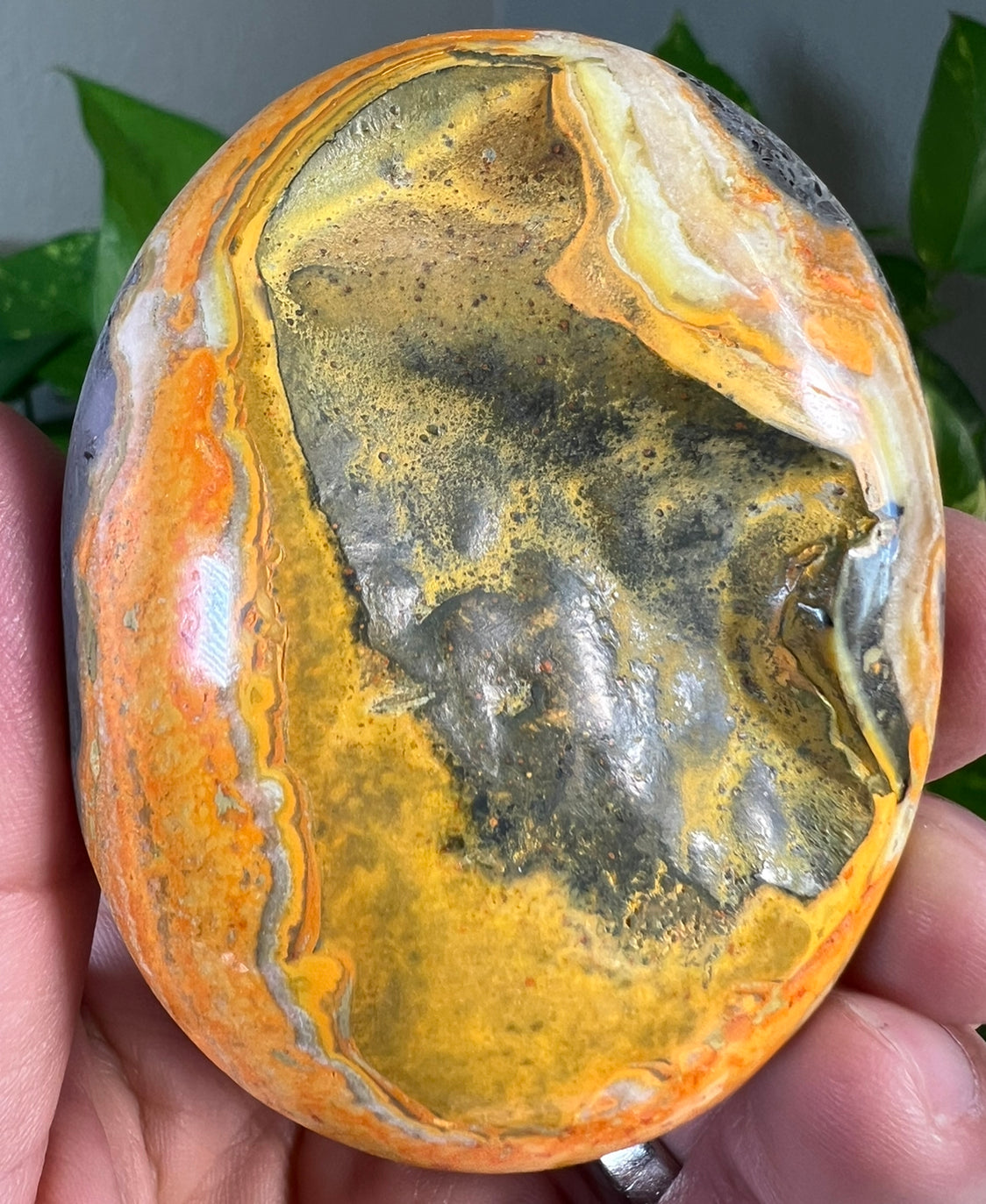 Large Bumblebee Jasper Palm Stones