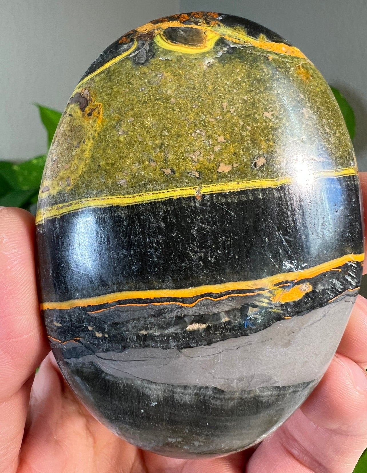 Large Bumblebee Jasper Palm Stones