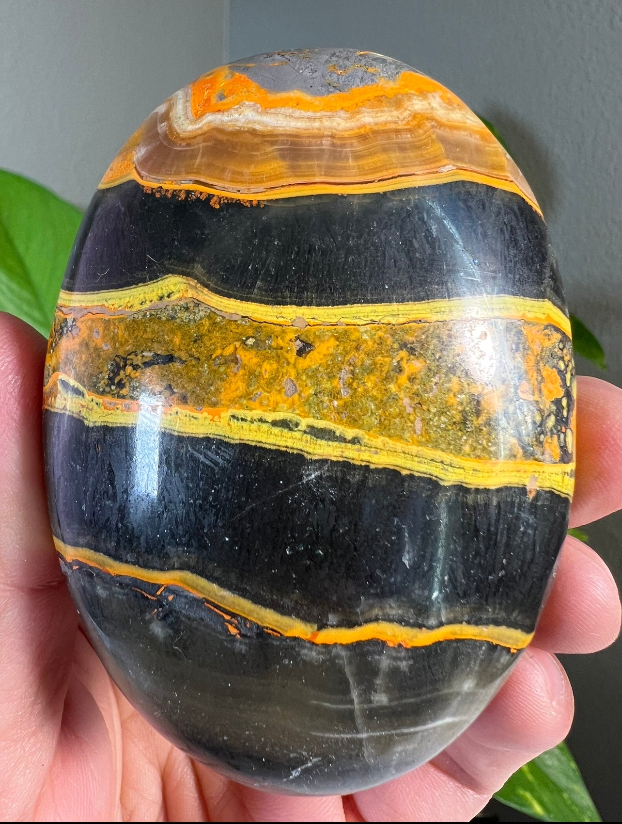 Large Bumblebee Jasper Palm Stones