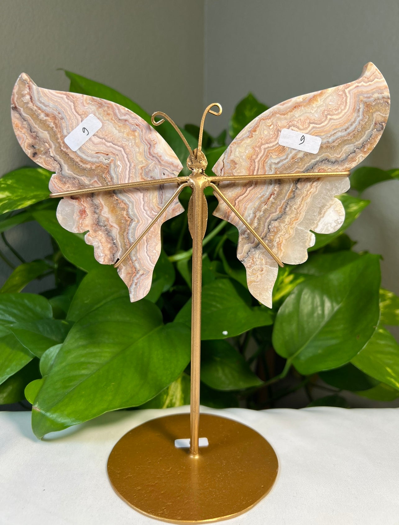 Crazy Lace Agate Wings