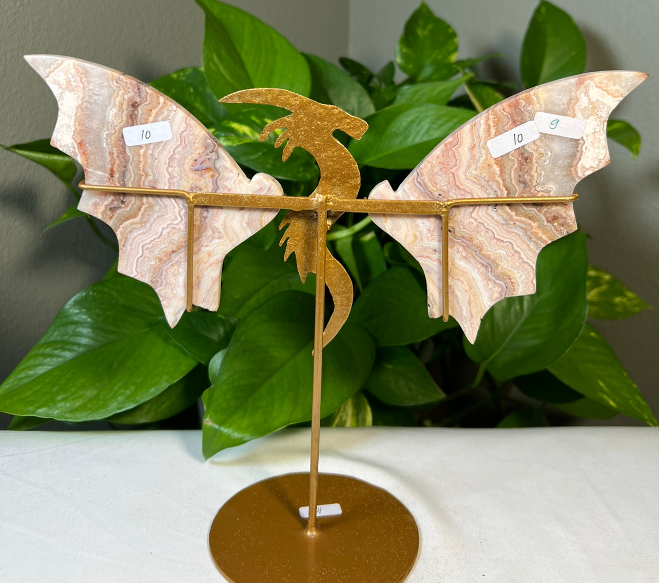 Crazy Lace Agate Wings