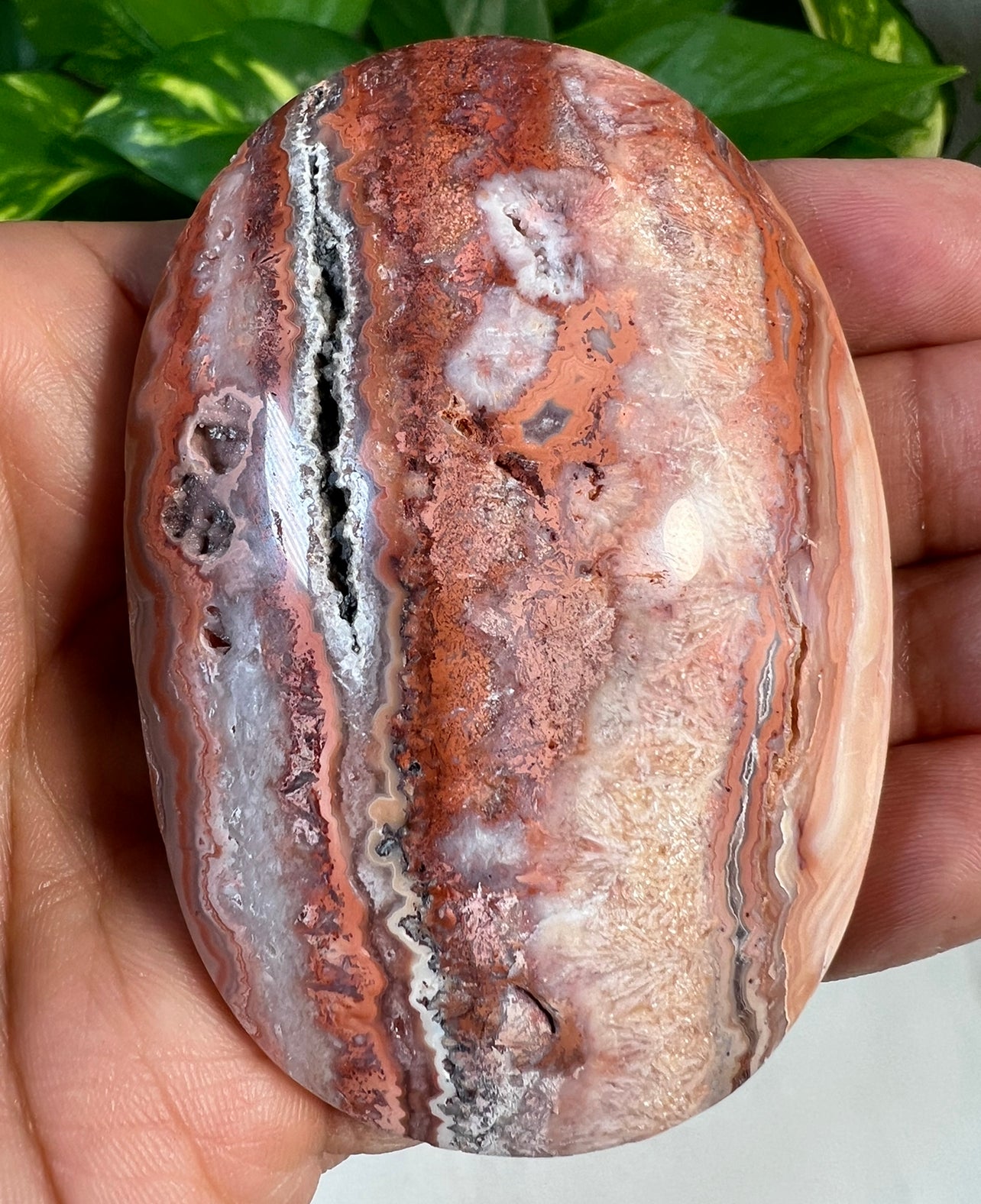 Crazy Lace Agate Palmstones