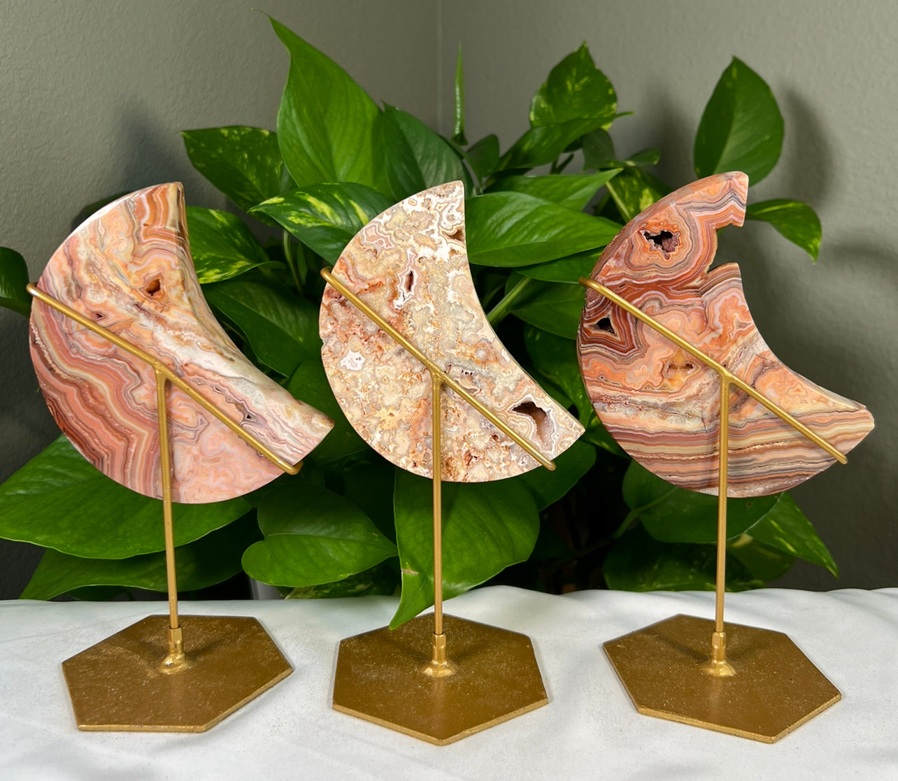 Crazy Lace Agate Moons