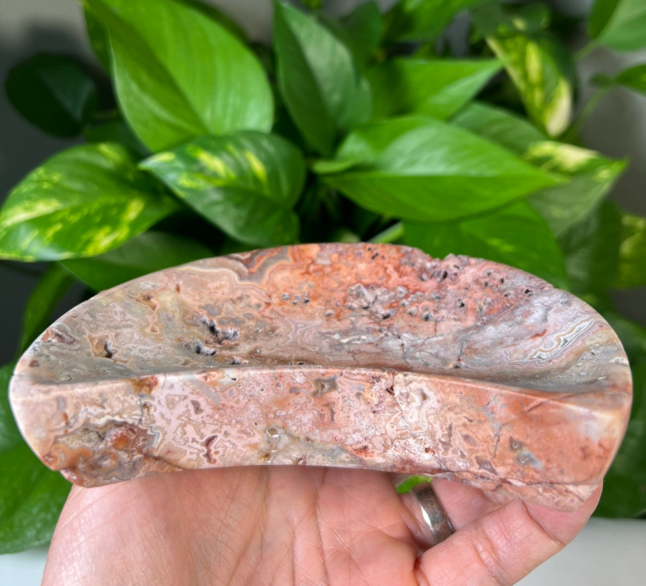 Crazy Lace Agate Moon Bowls