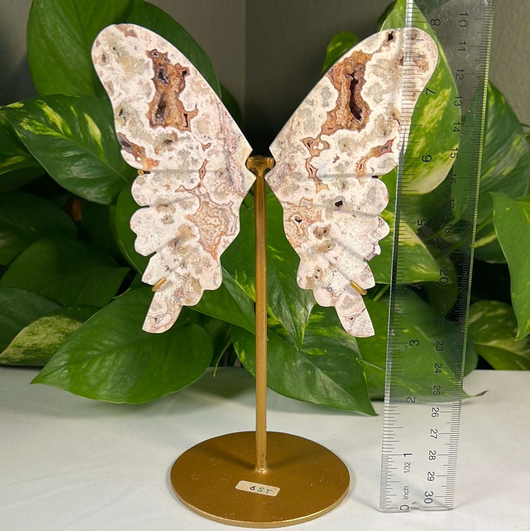 Crazy Lace Agate Wings