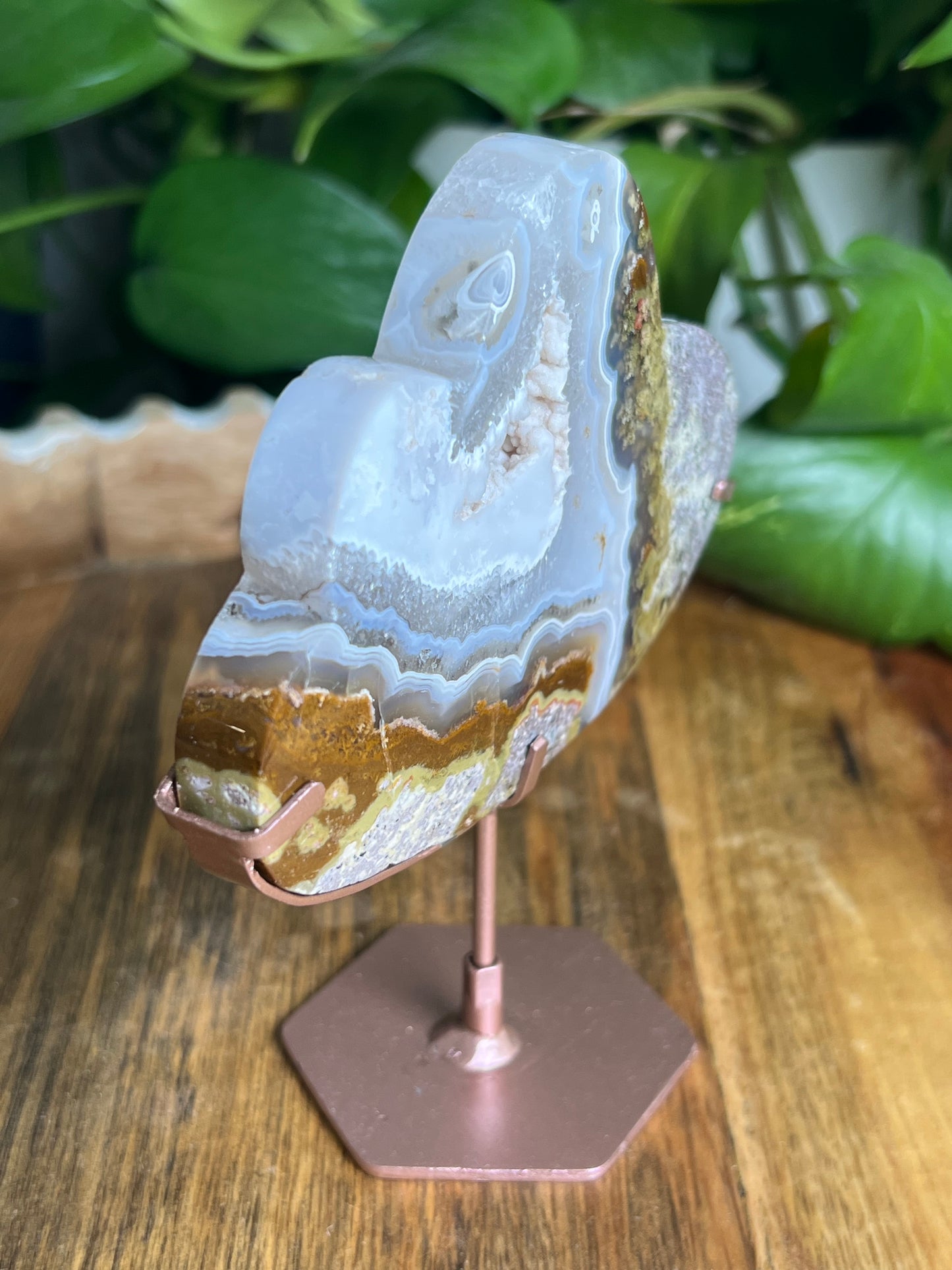 Scenic Moss Agate Cloud