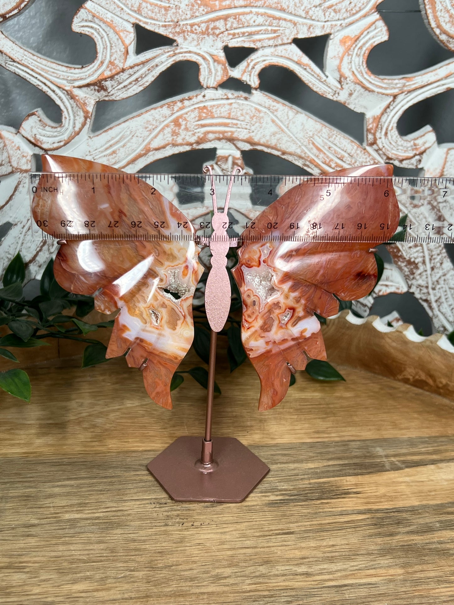 Carnelian Wings