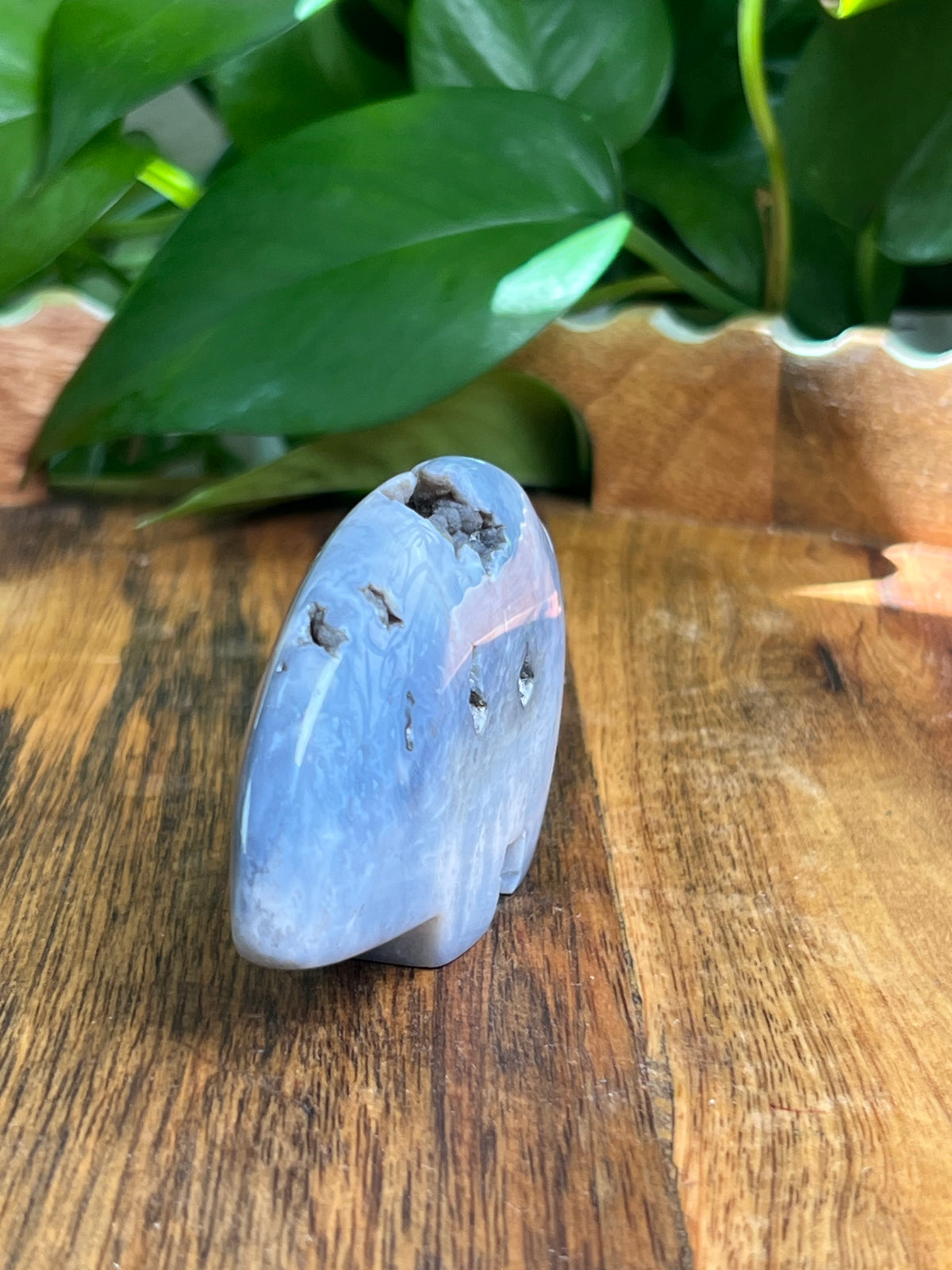 Blue Plume Agate Bear: DK