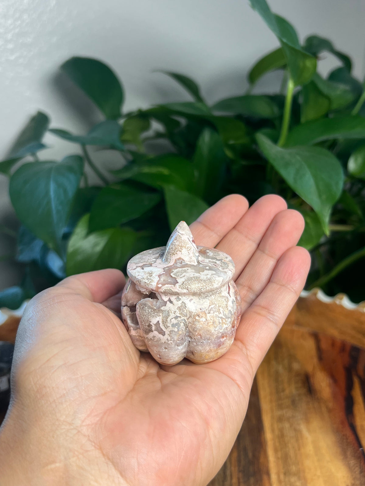 Crazy Lace Agate Pumpkin: A