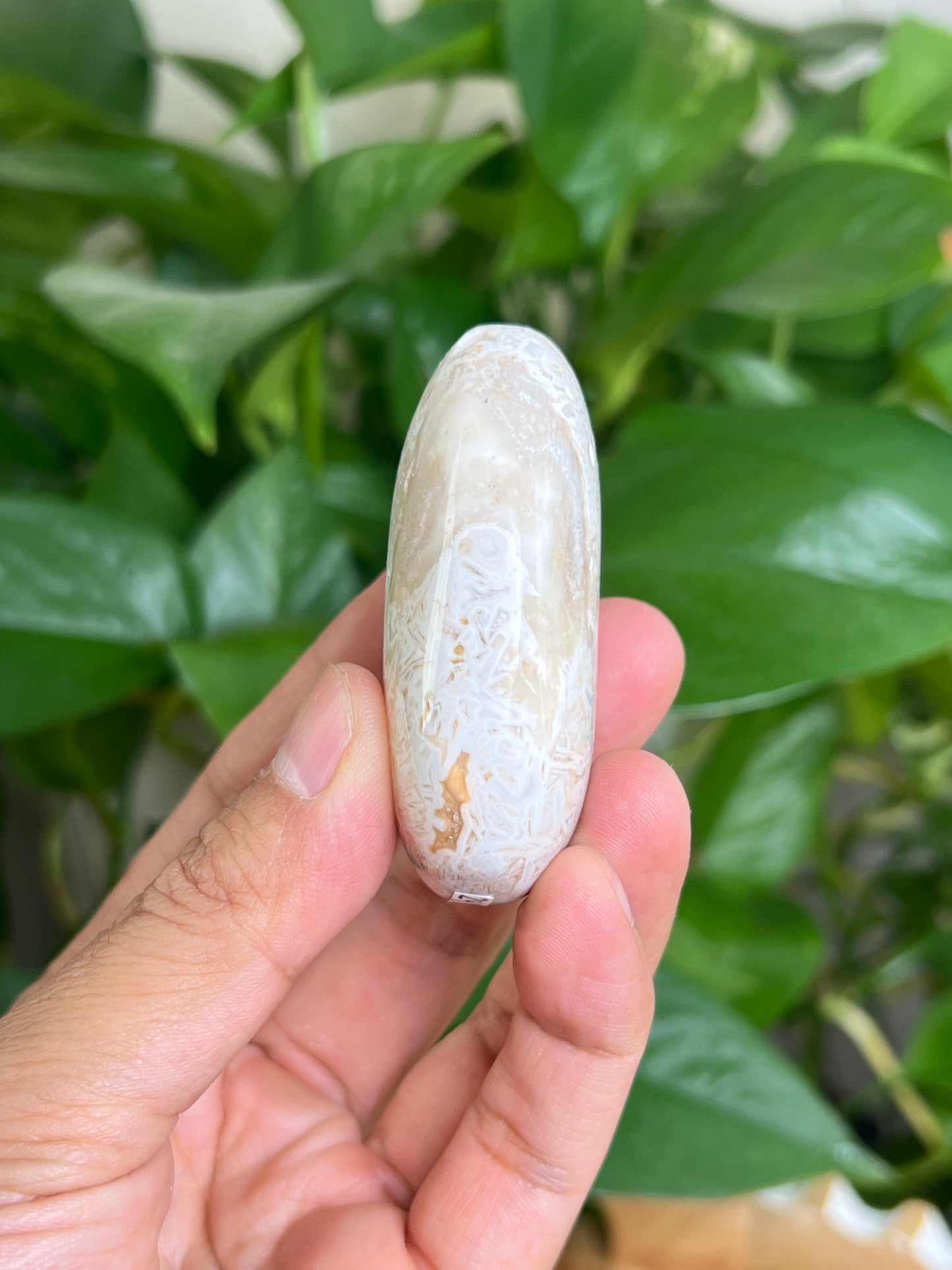 Tube Agate Palmstone: MB