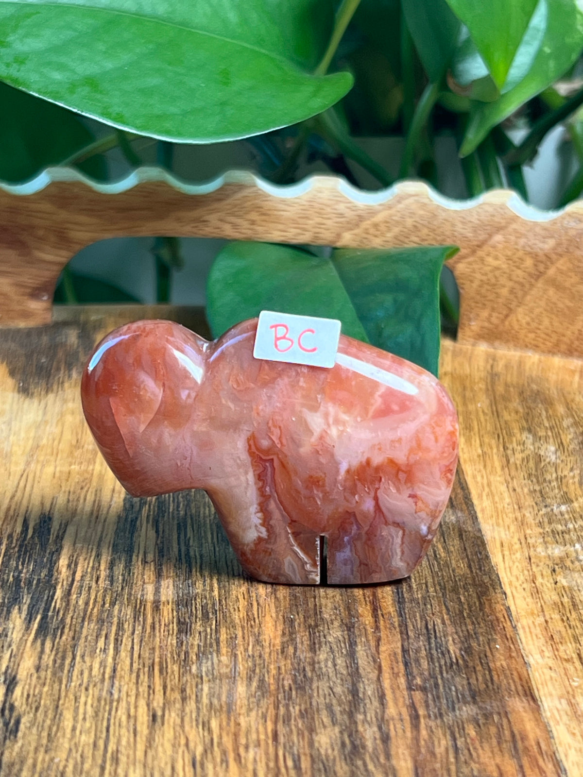 Carnelian Mini Buffalos