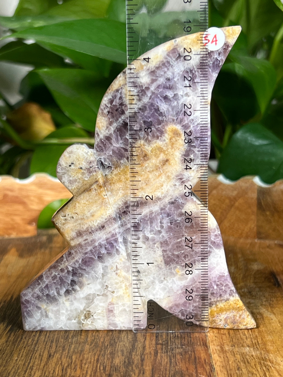 Indonesian Amethyst Fairies