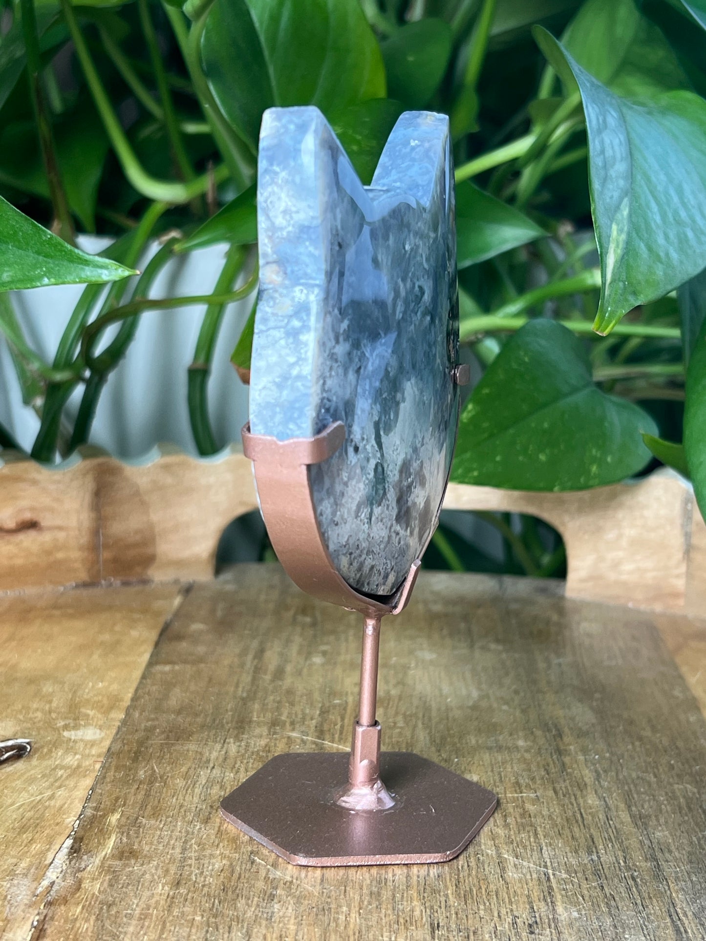 Blue Plume Agate Cat