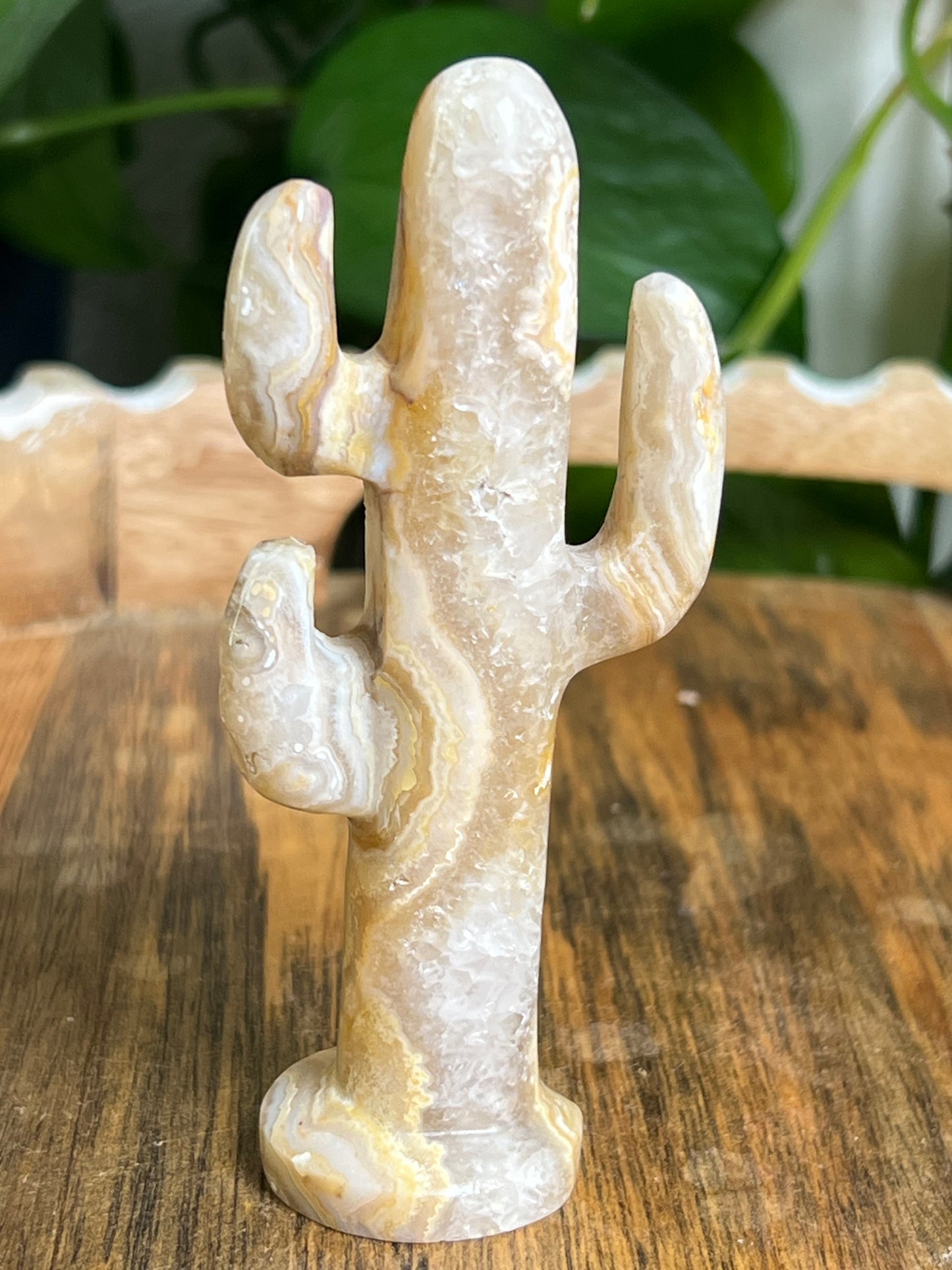 Yellow Crazy Lace Agate Cactus