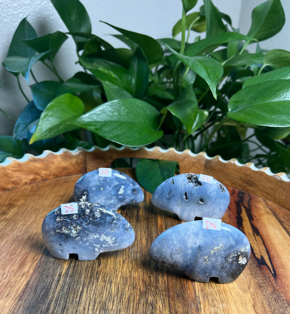 Blue Plume Agate Bears