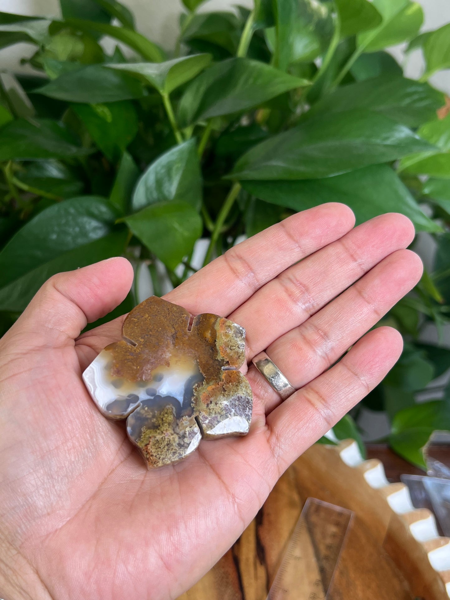 Scenic Moss Agate Flower NL