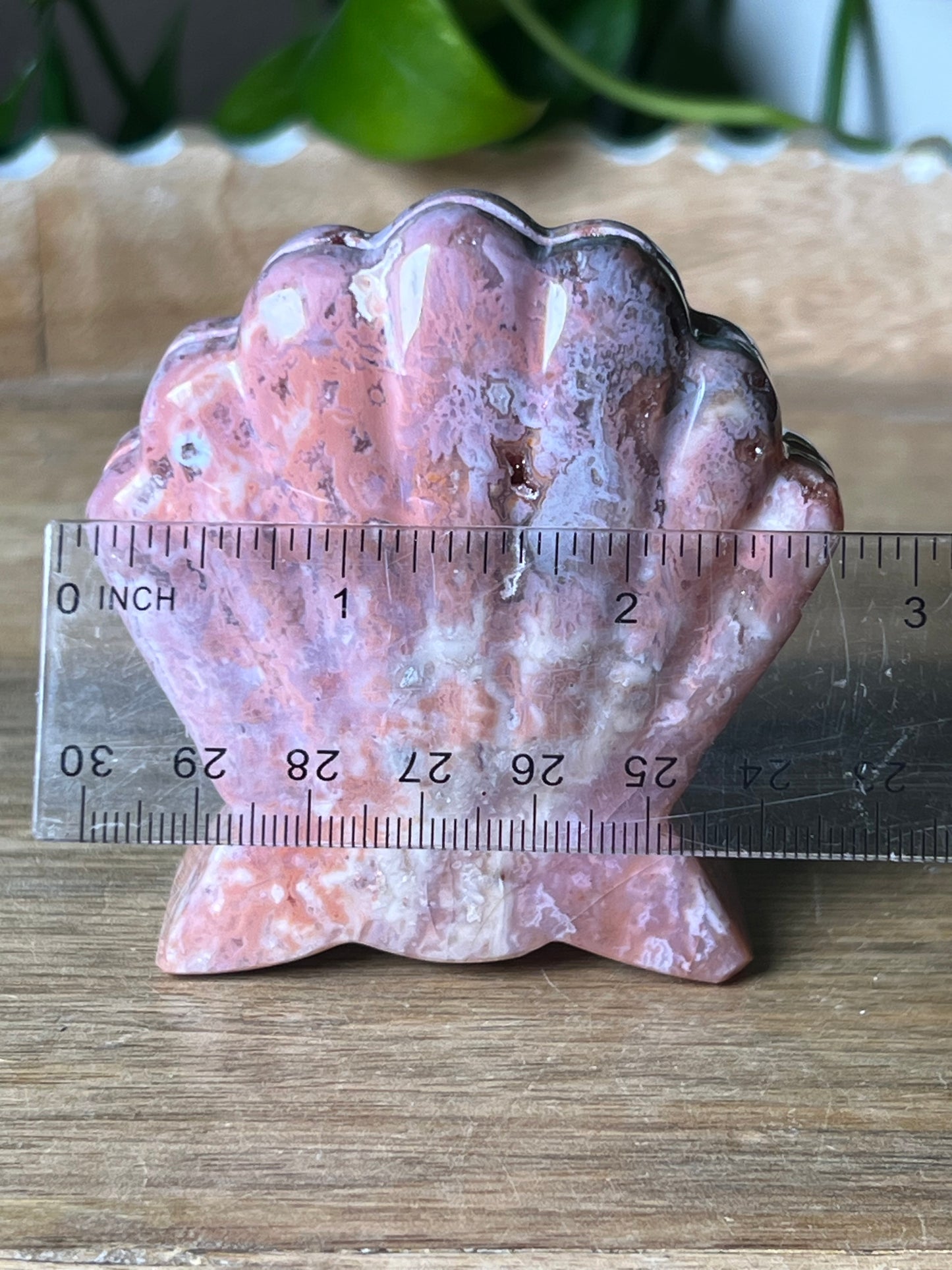 Pink Carnelian Shell
